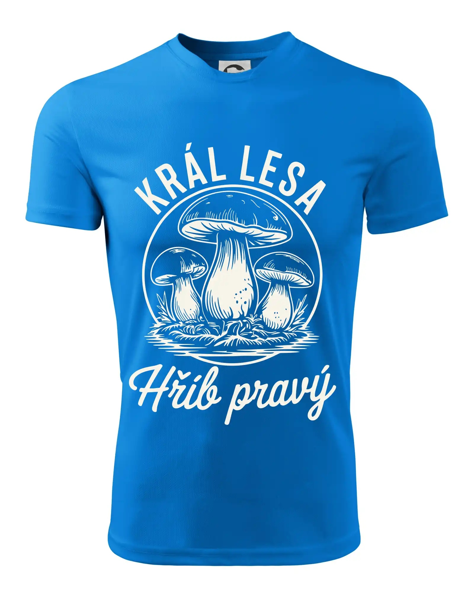 Král lesa hřib pravý