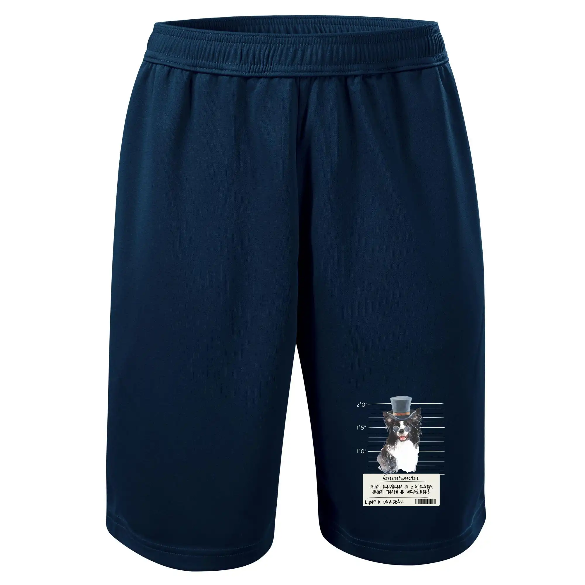 Lump a darebák border kolie