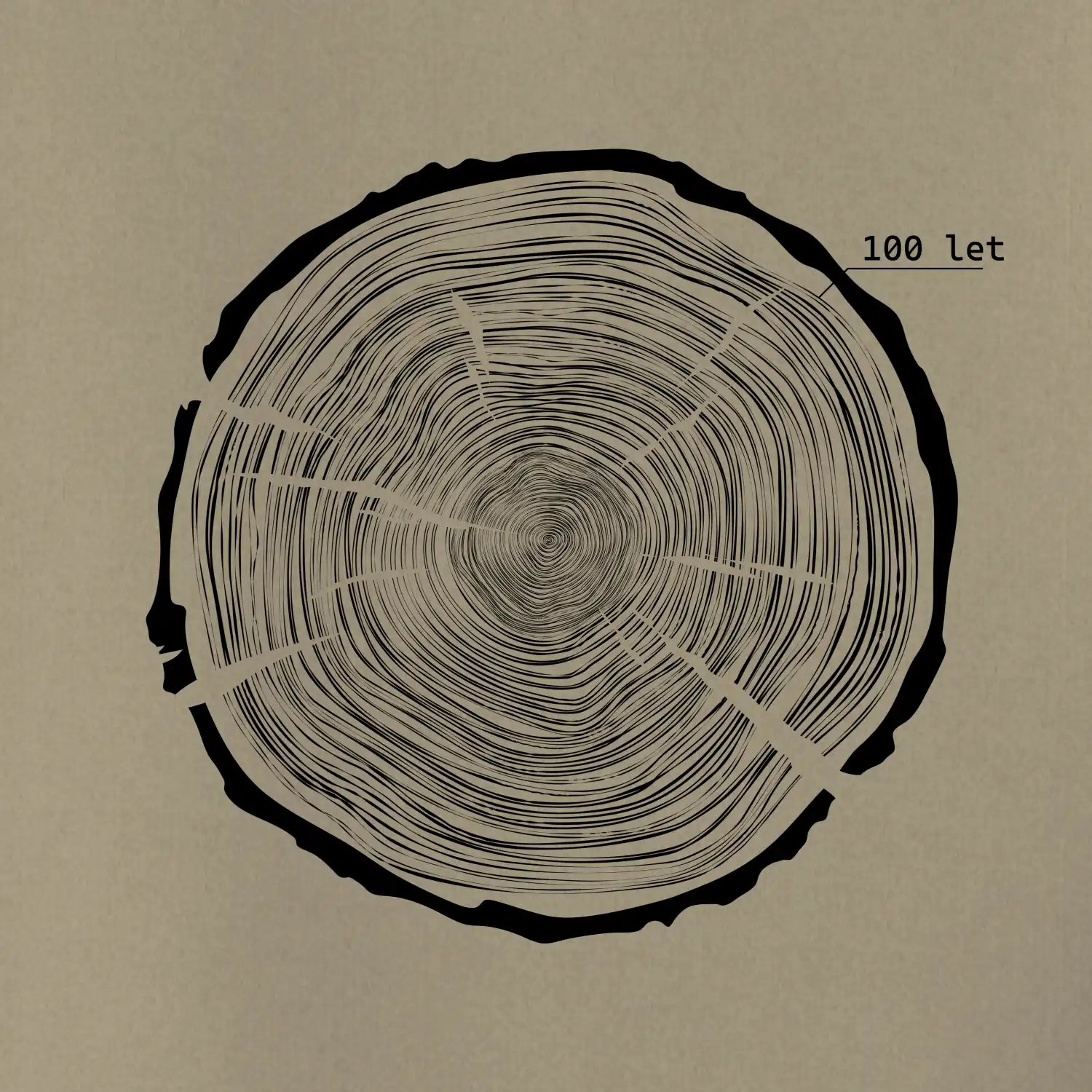 Letokruhy - 100