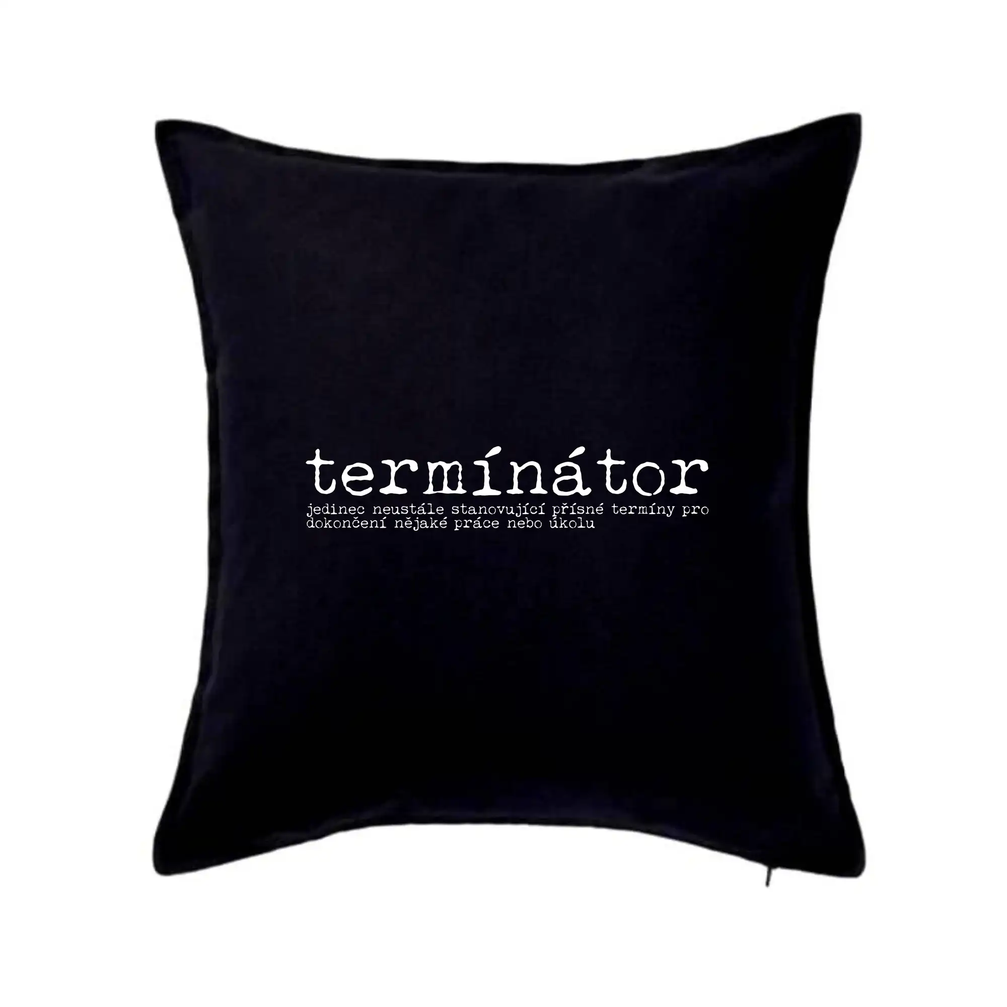 Čeština 2.0 - termínátor