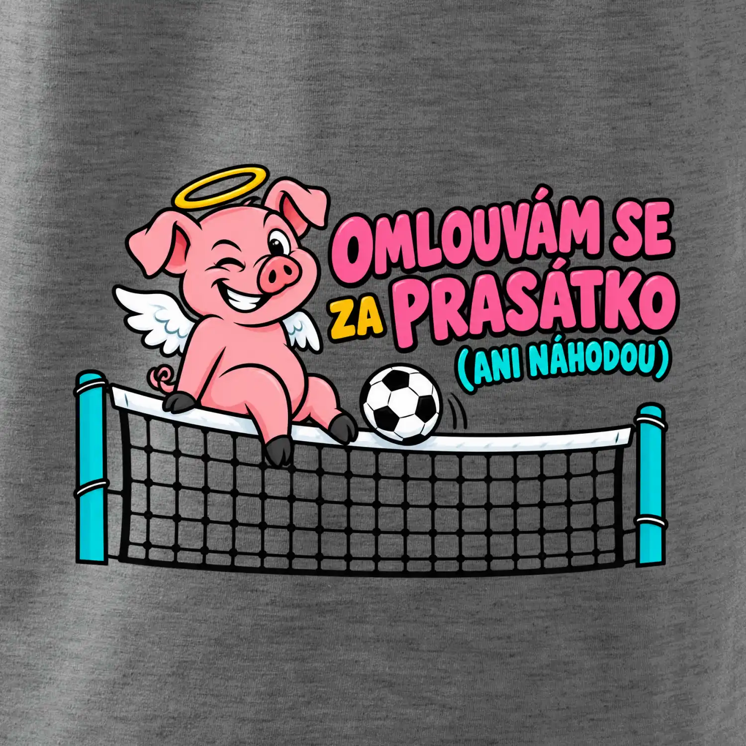 Nohejbalové prasátko na síti