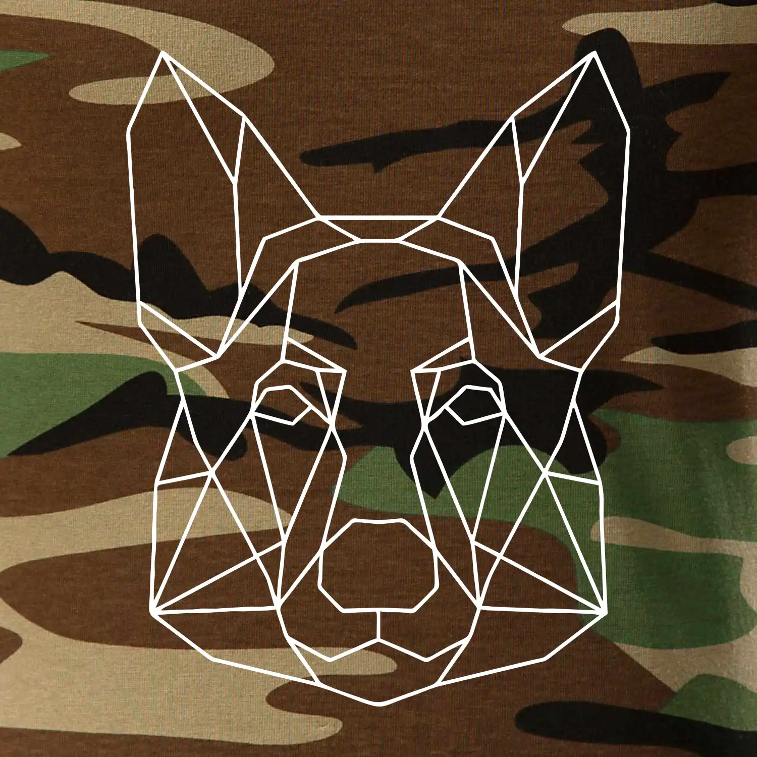 Německý ovčák - Geometrie