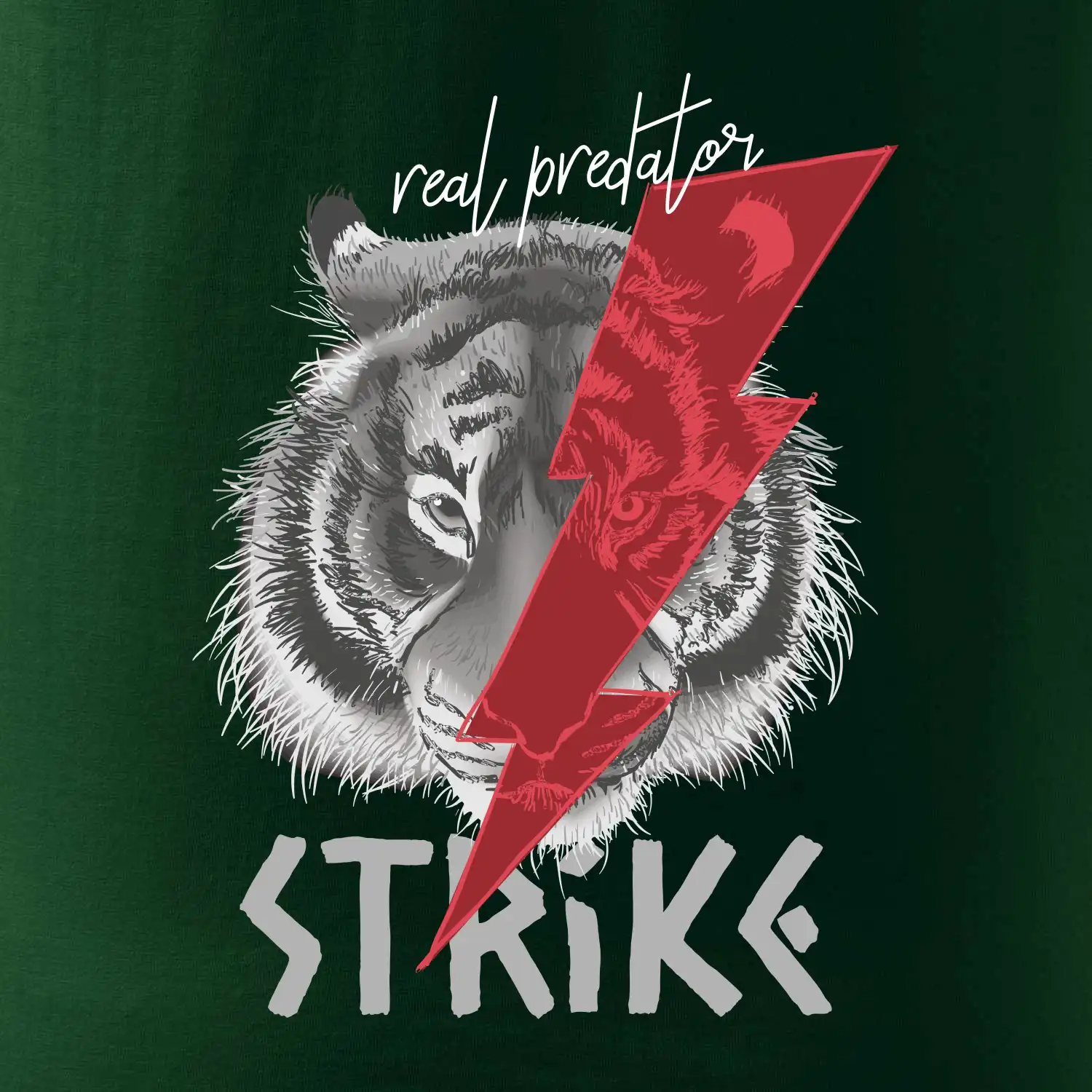 Tygr - strike