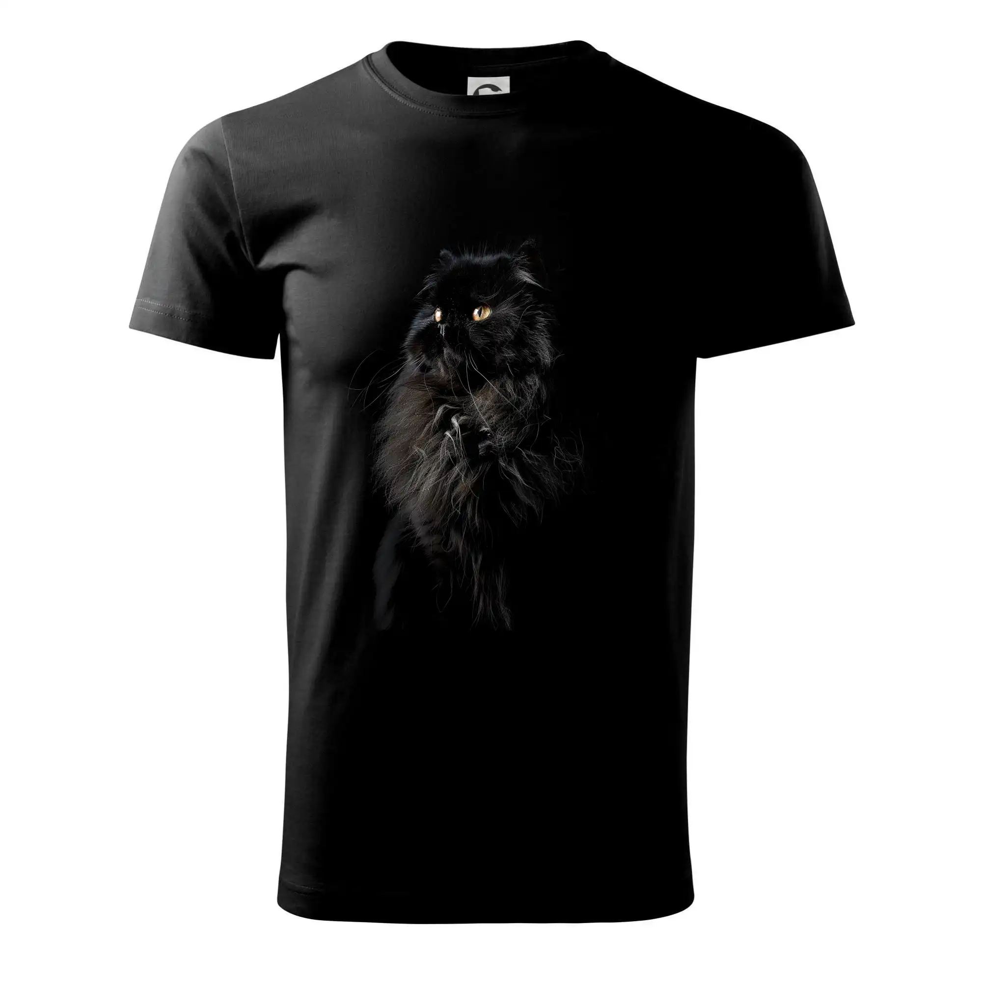 Perská kočka černá fotka