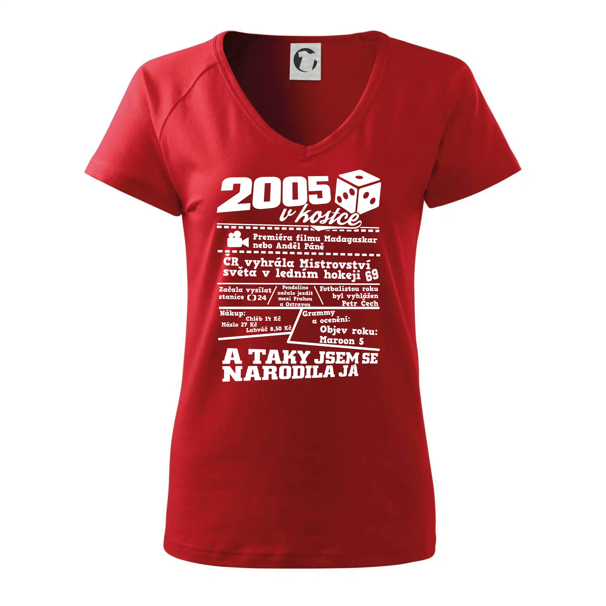 2005 v kostce