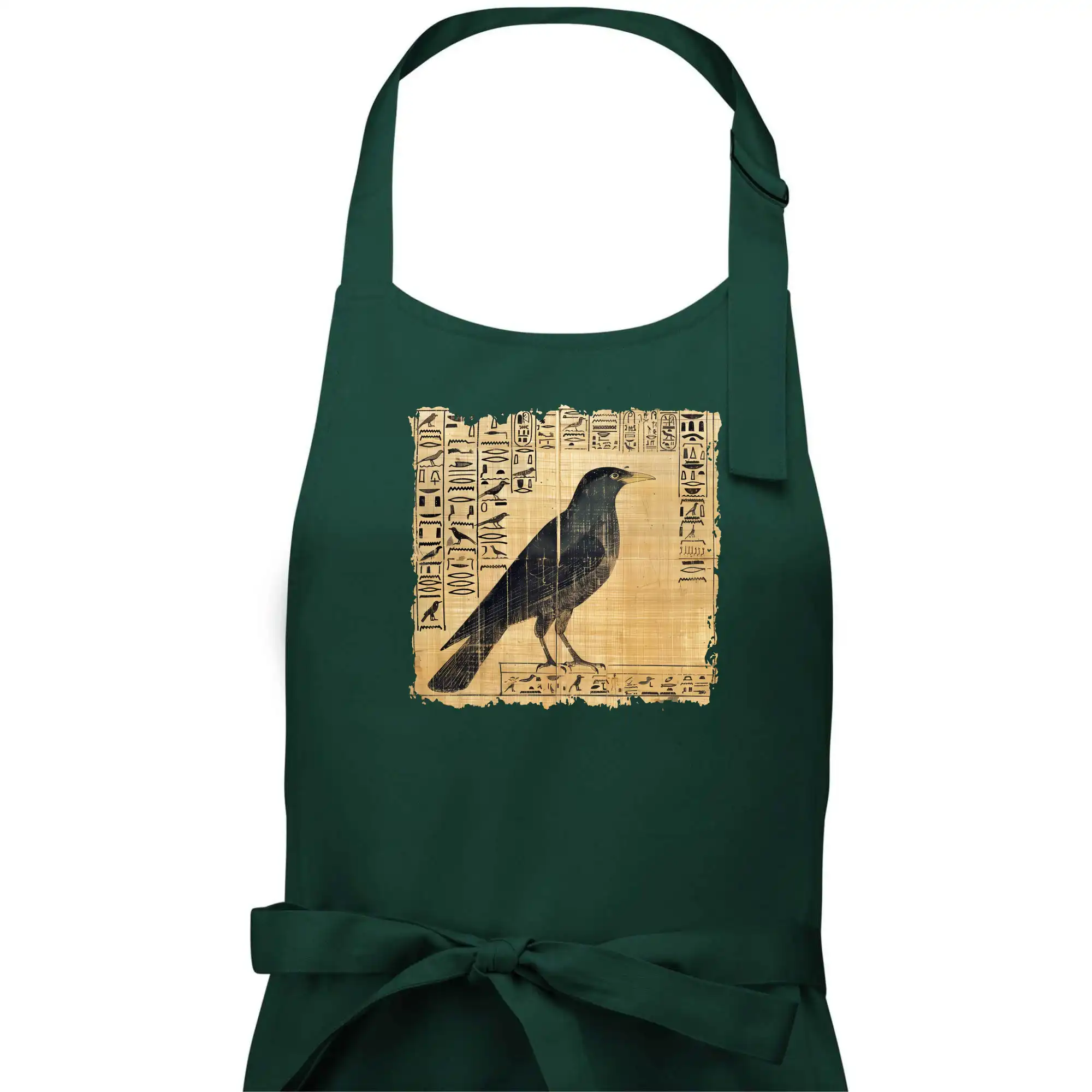 Egyptské hieroglyfy pták