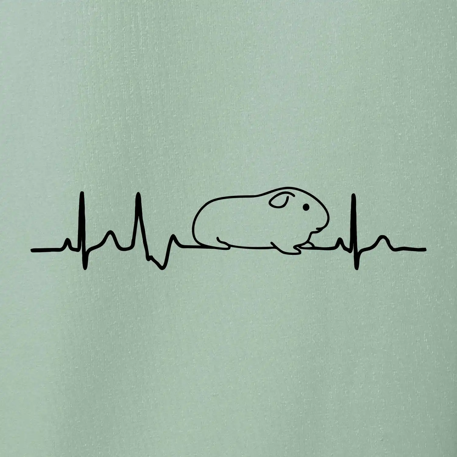 EKG morče