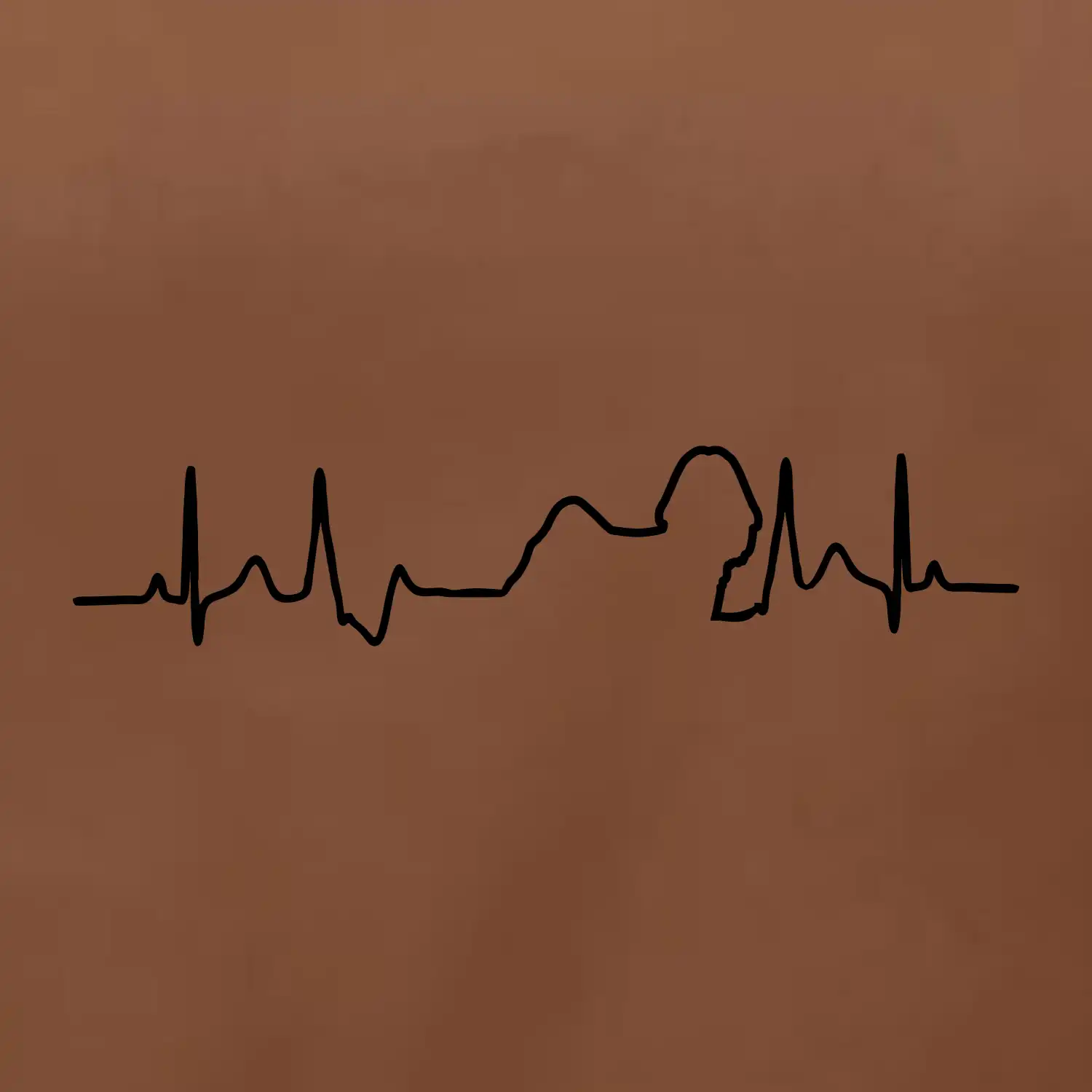 Shih-tzu ekg obrys
