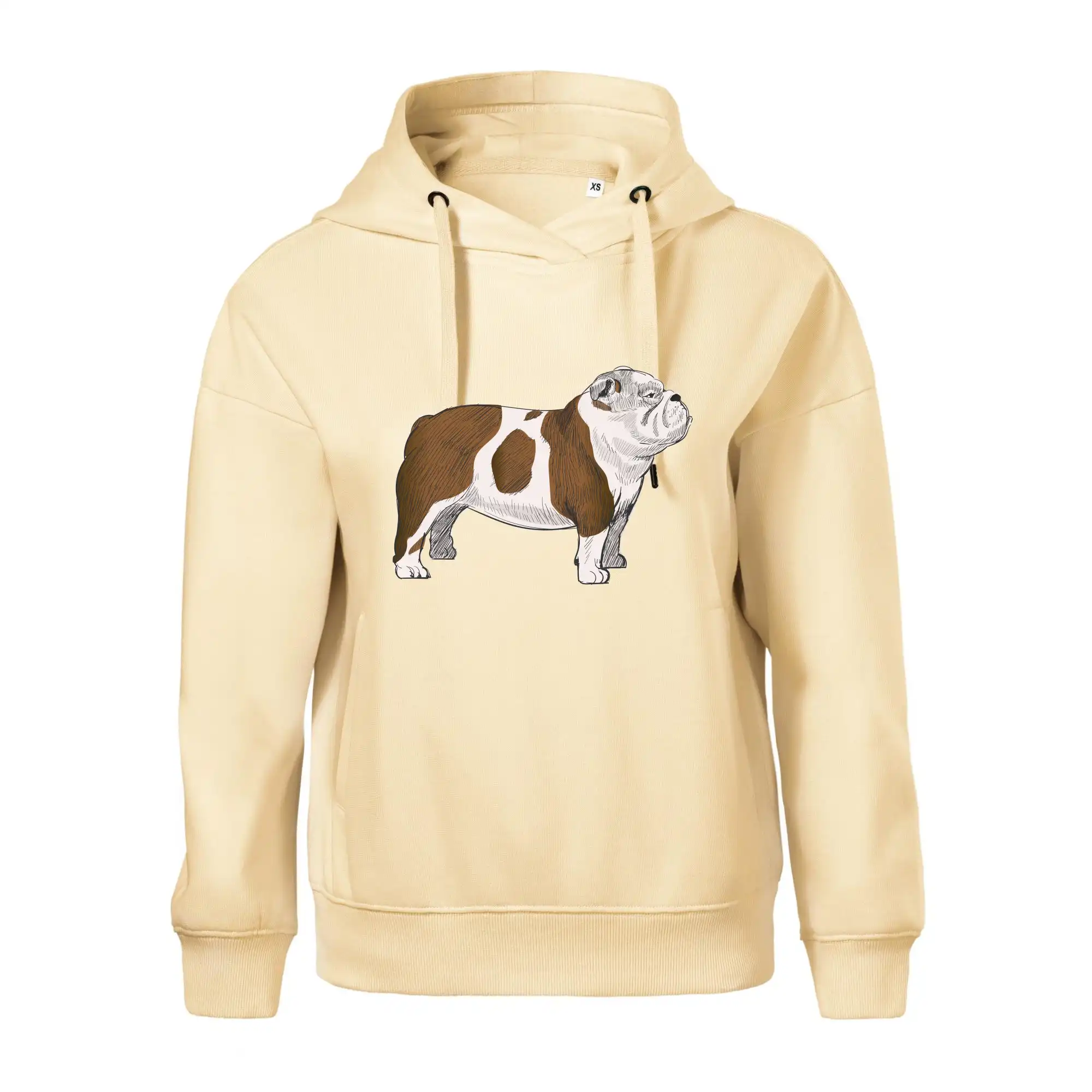 Vintage English bulldog