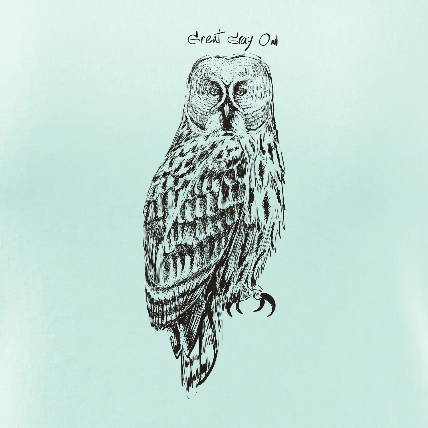 Puštík vousatý great gray owl