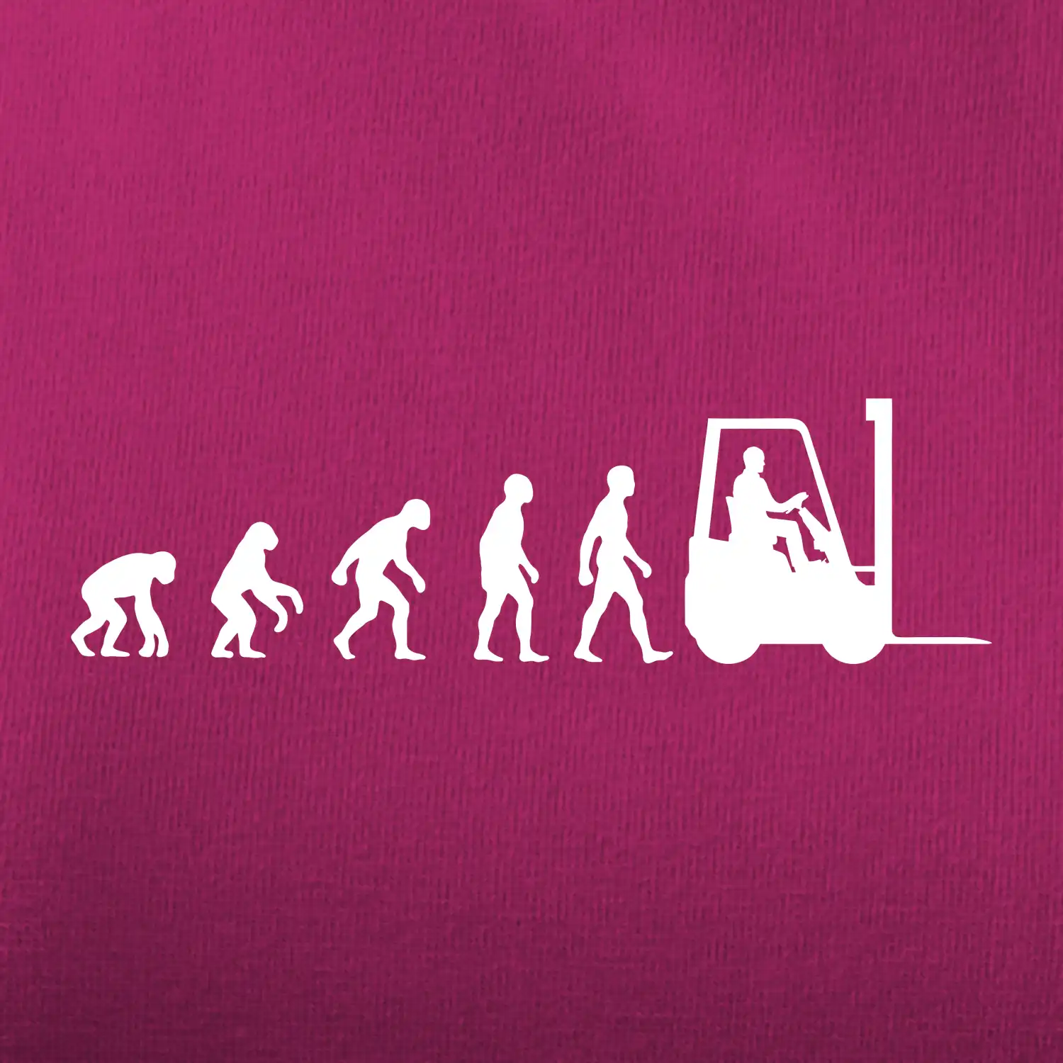 Evoluce ještěrka