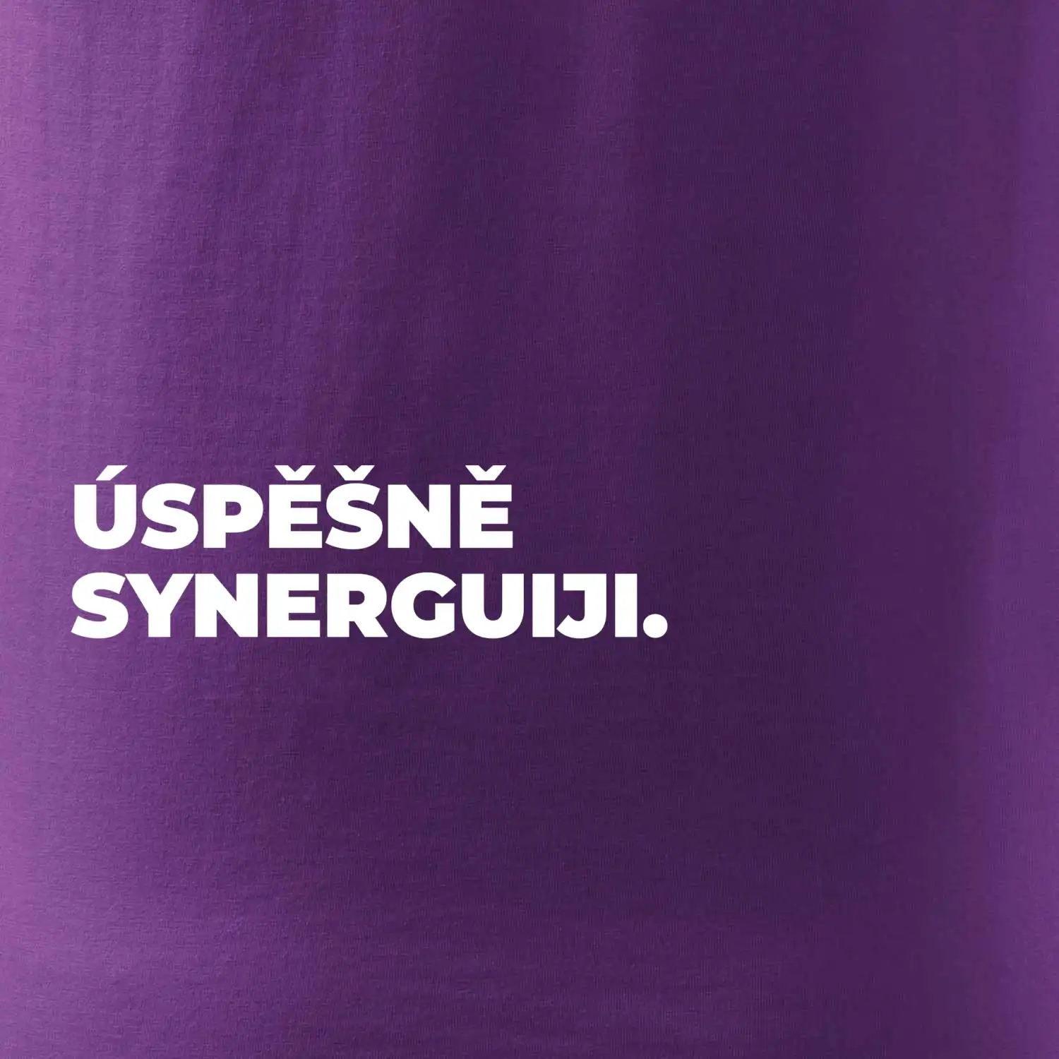 ÚSPĚŠNĚ SYNERGUIJI.