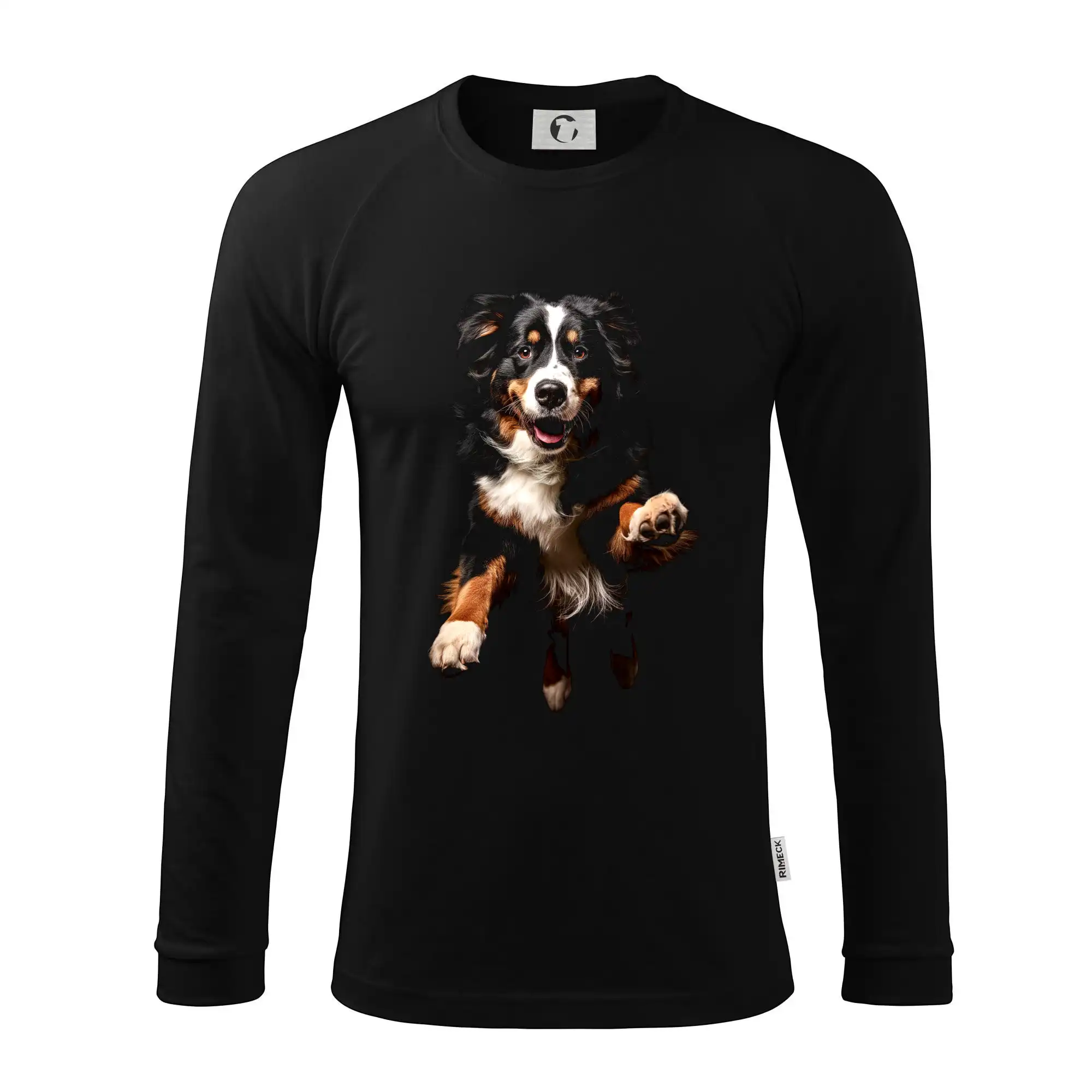 Bernský salašnický pes skakájící černá fotka