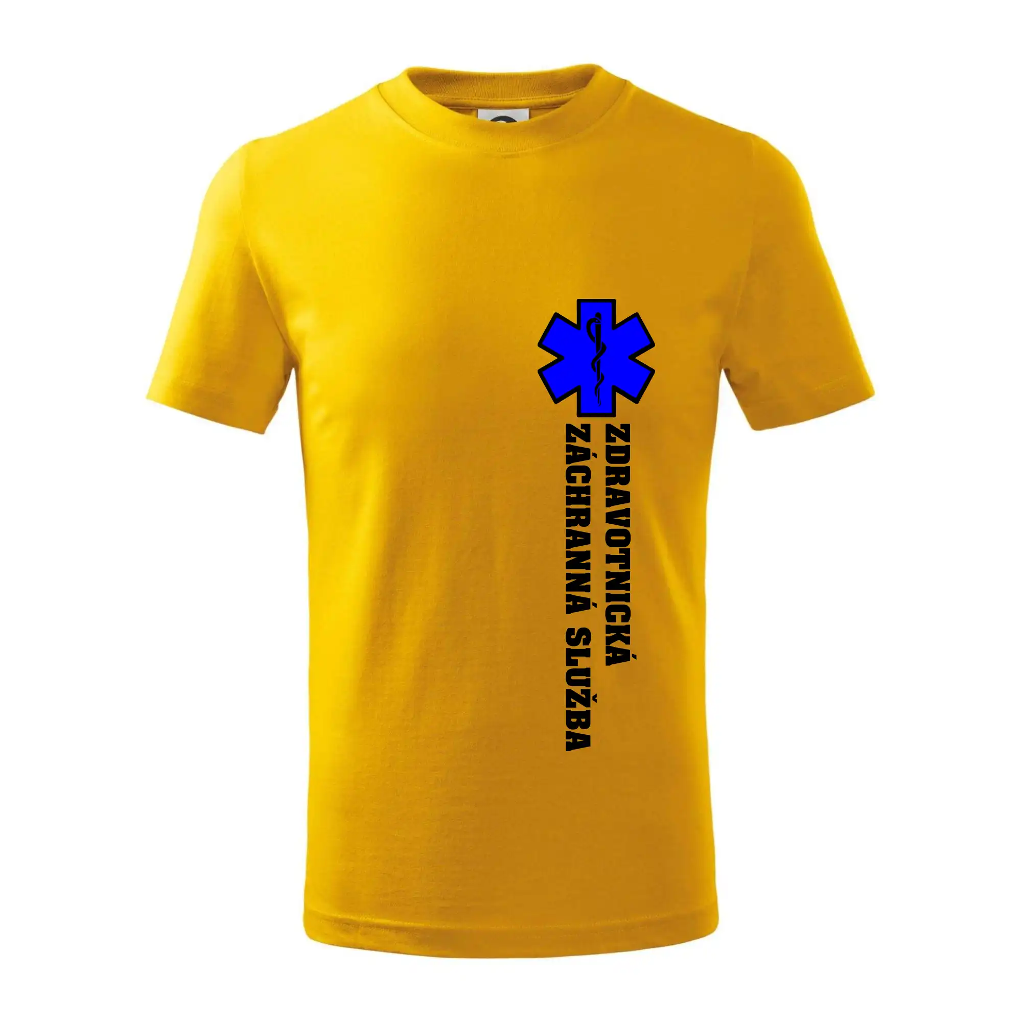 Hvězda života - zdravotnická záchranná služba