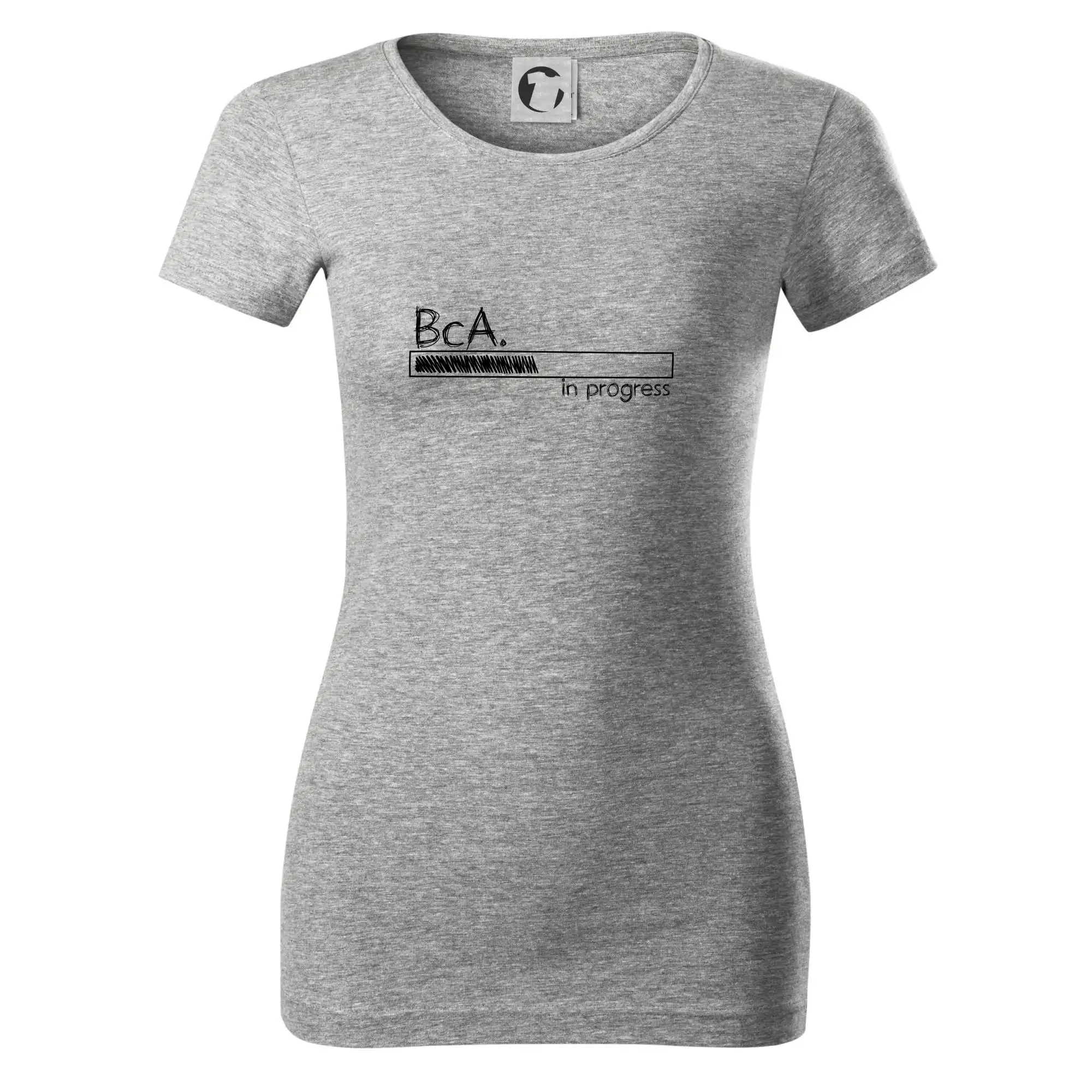 In progress  titul BcA. bakalář / bakalářka umění