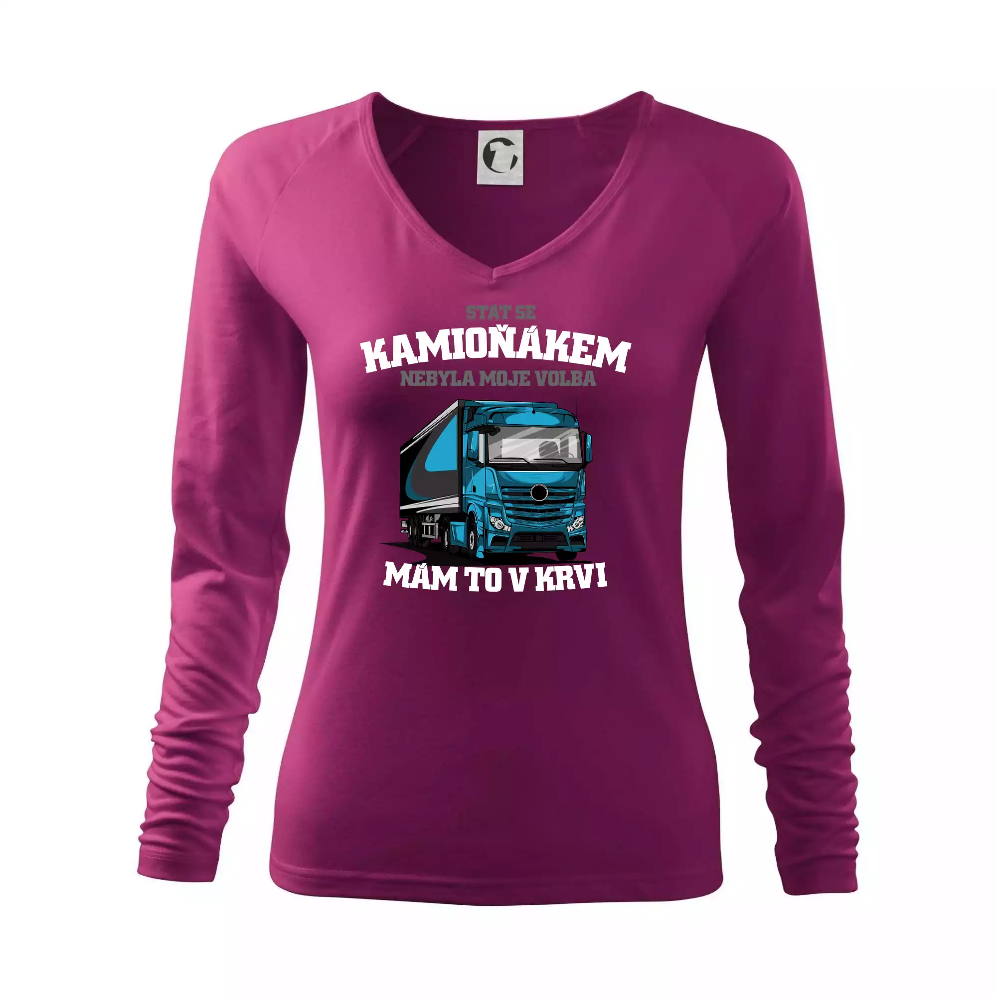 Stát se kamioňákem nebyla moje volba