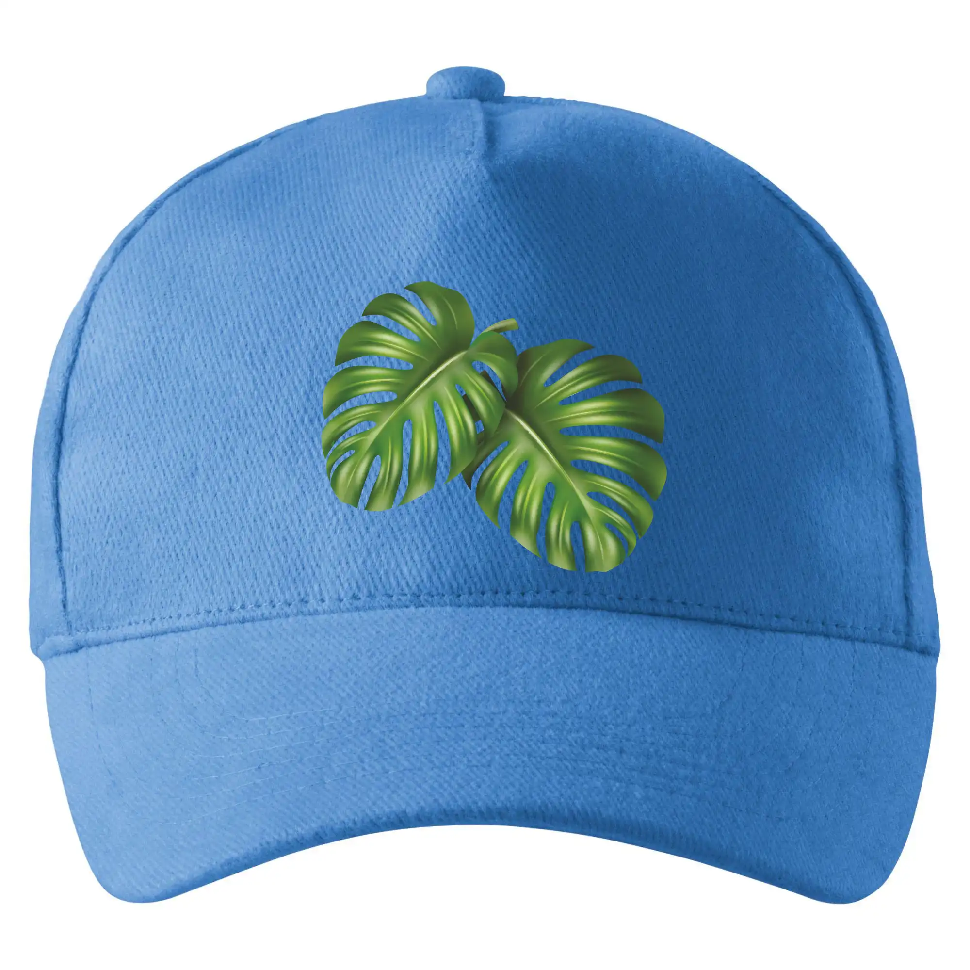 Monstera - dva listy