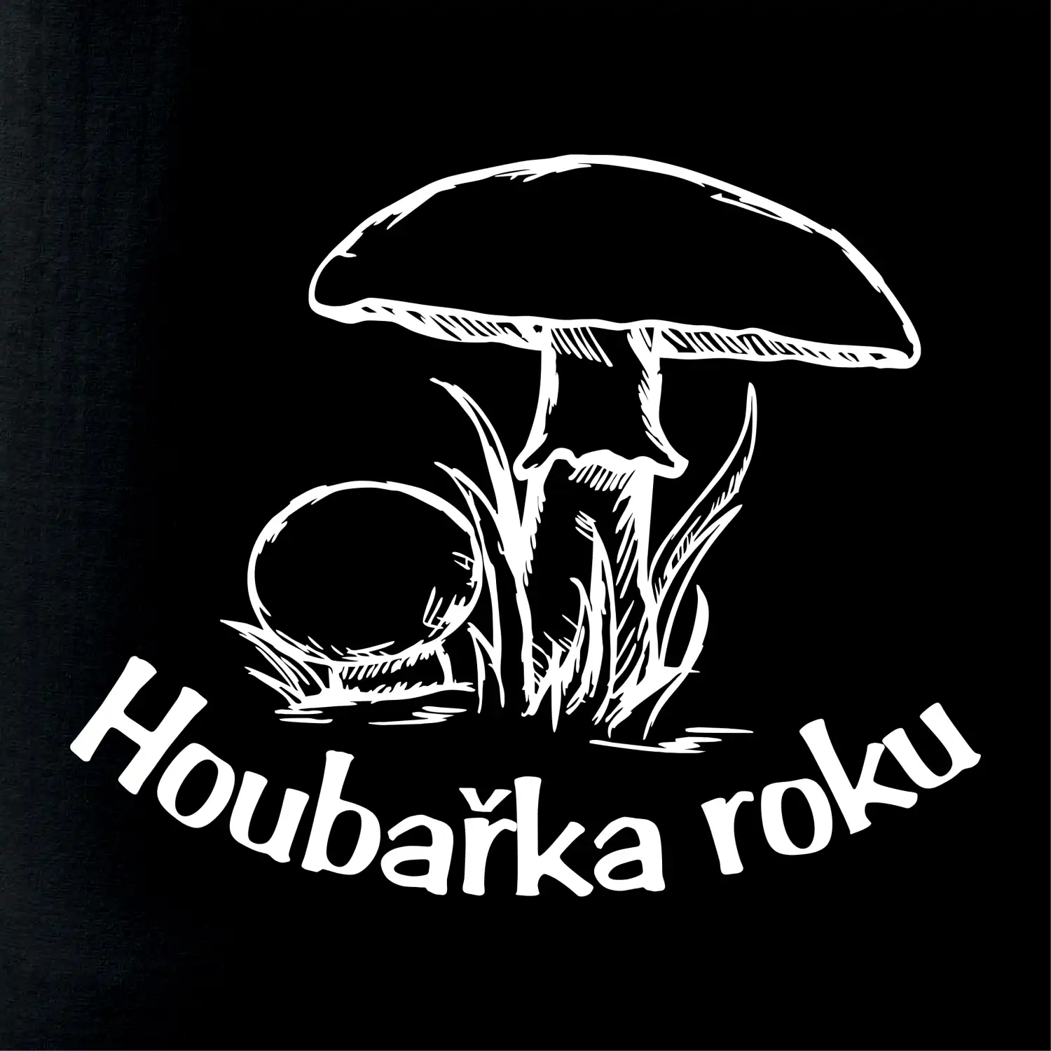 Houbař roku