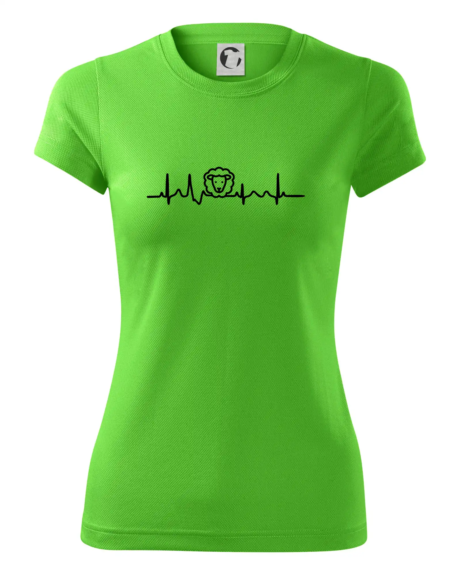 Ekg ovce