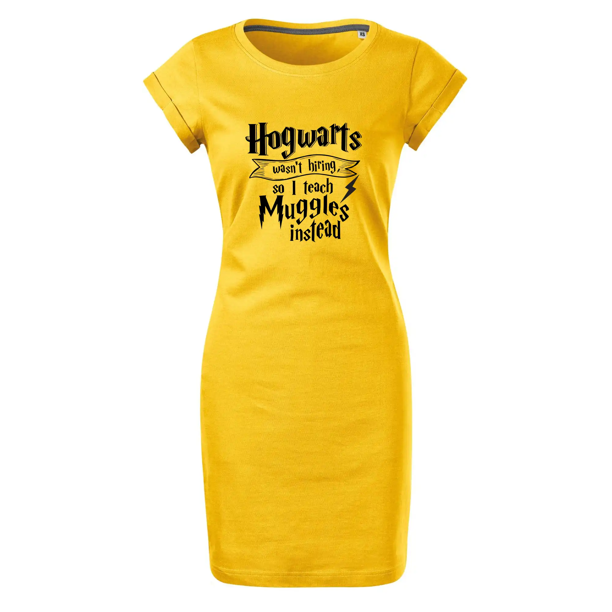 Harry - Hogwarts wasn’t hiring, so I teach Muggles instead