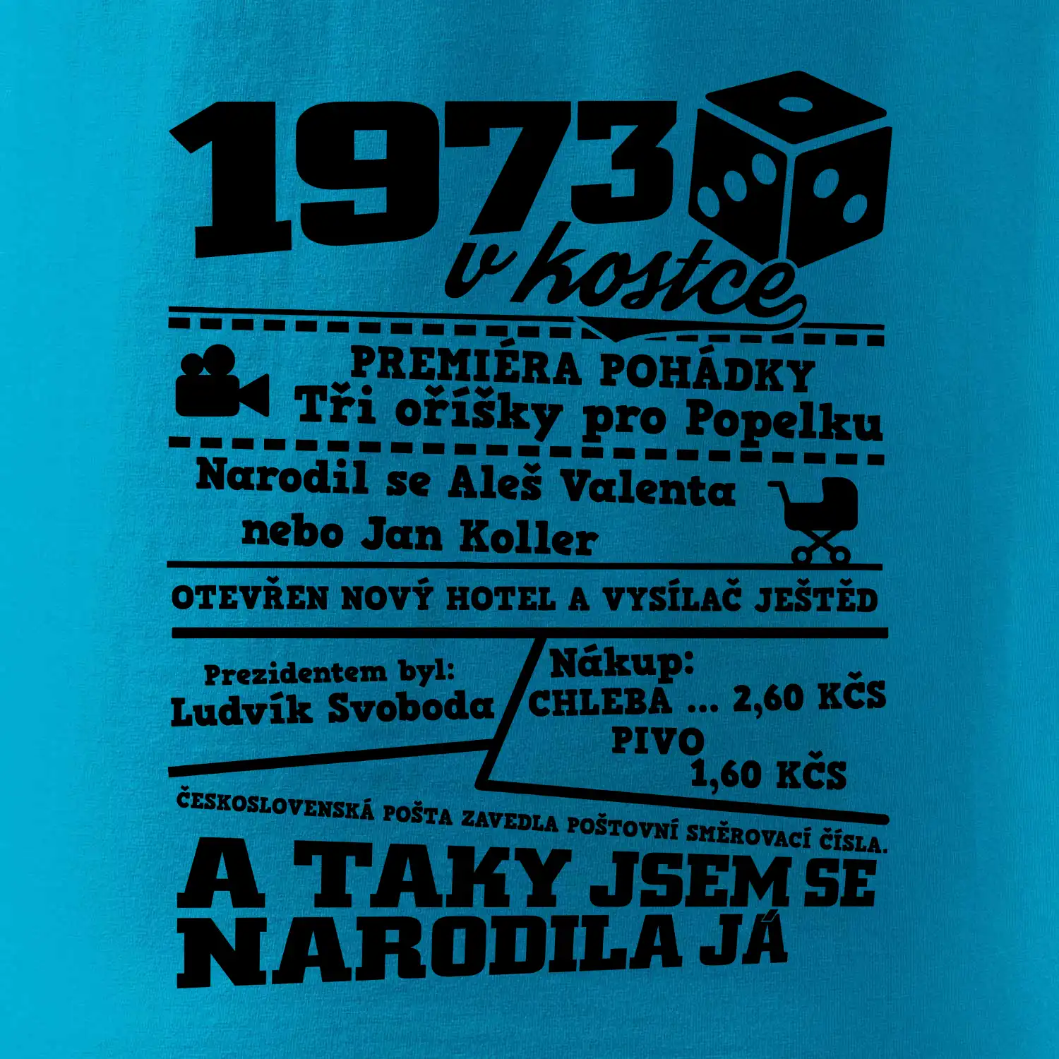 1973 v kostce