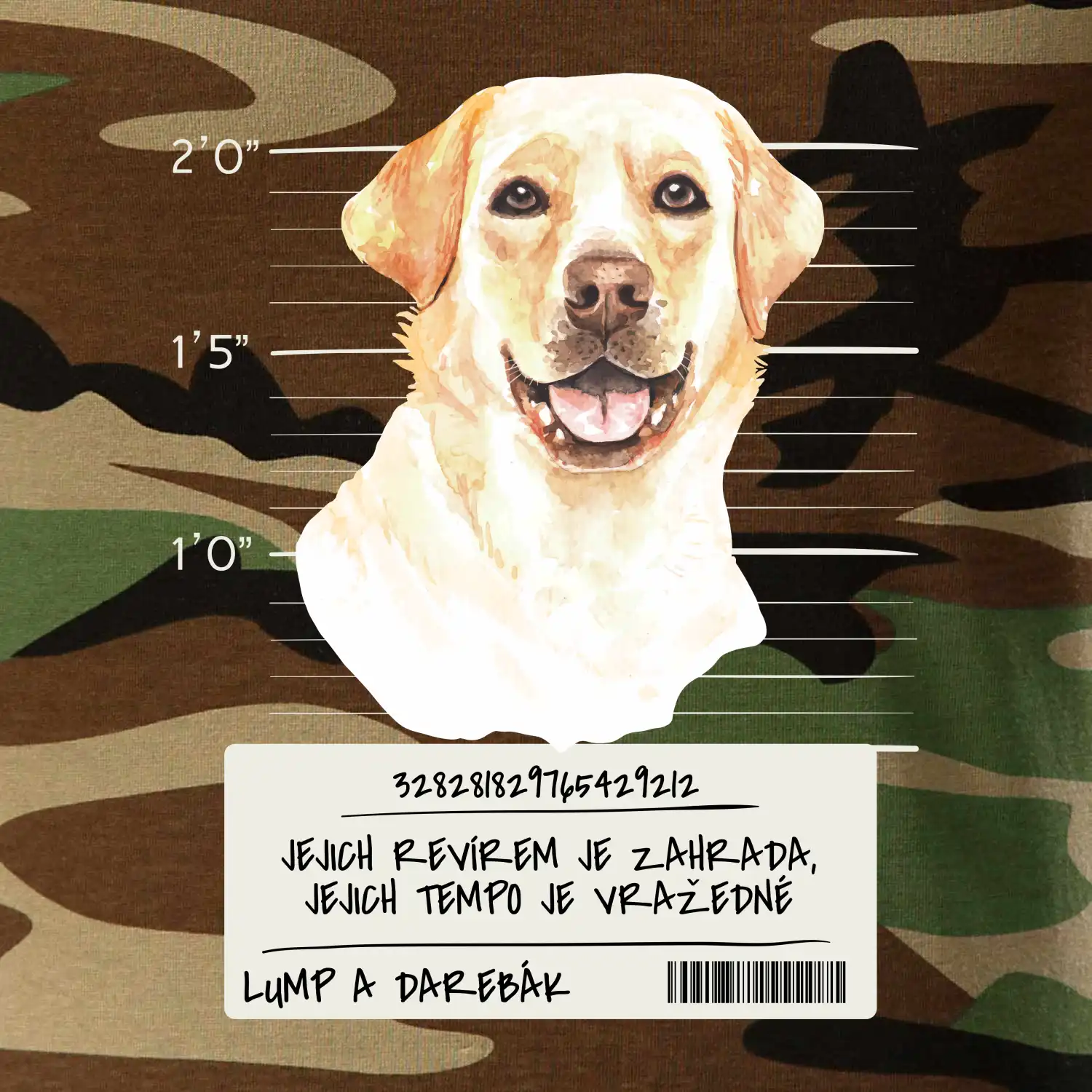 Lump a darebák labrador