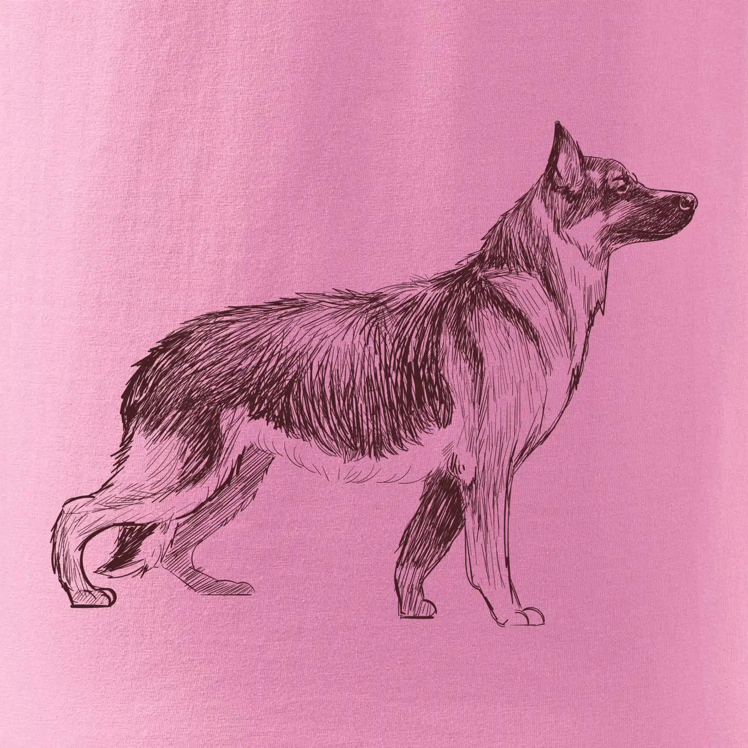 Německý ovčák -  kreslený skica