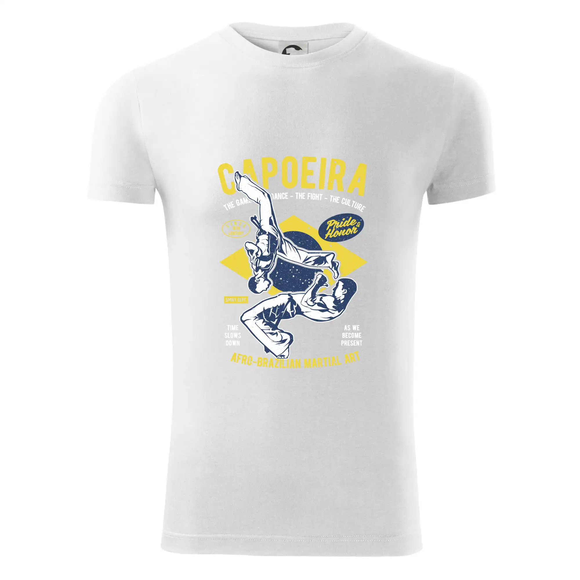 Capoeira  Afro-brazil art