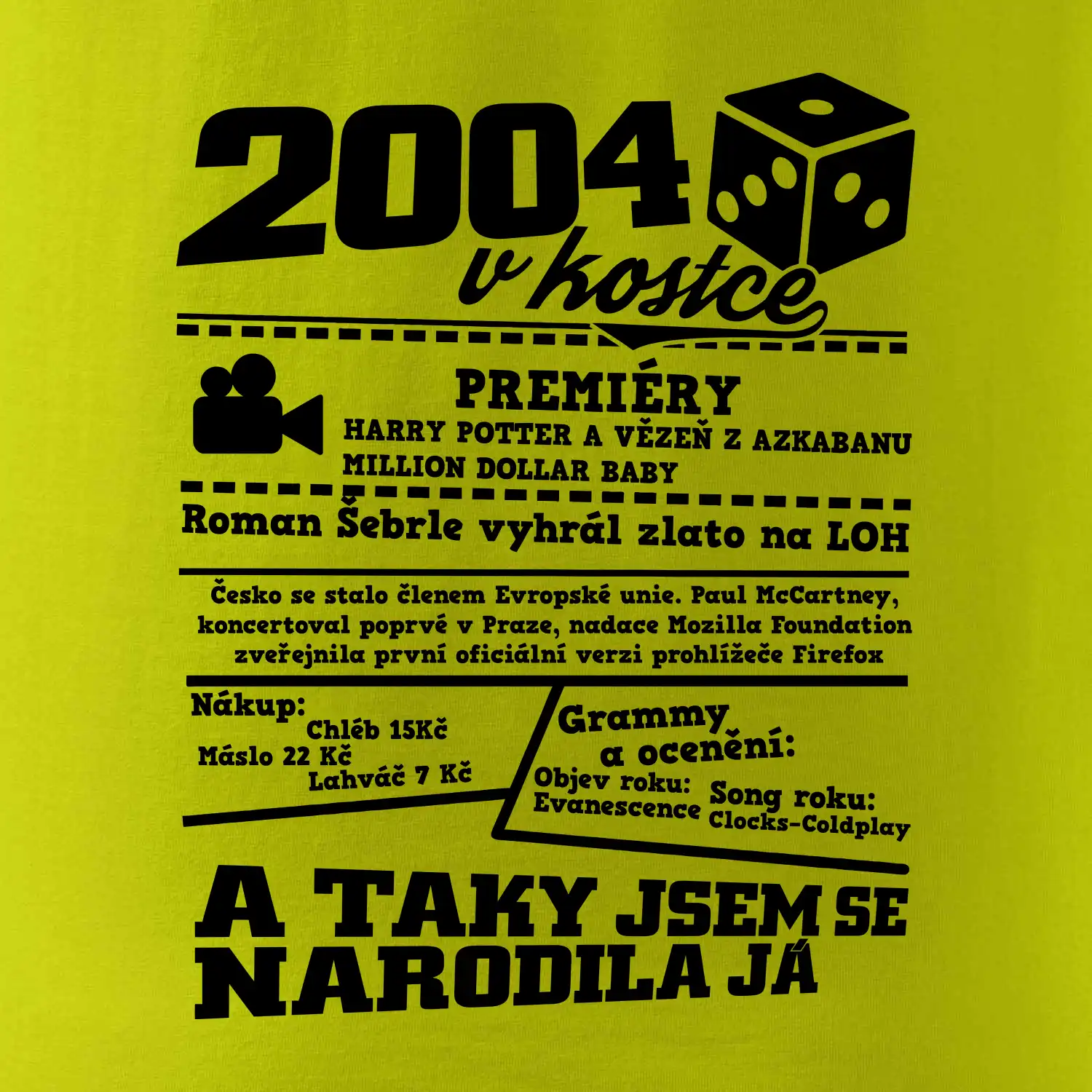 2004 v kostce