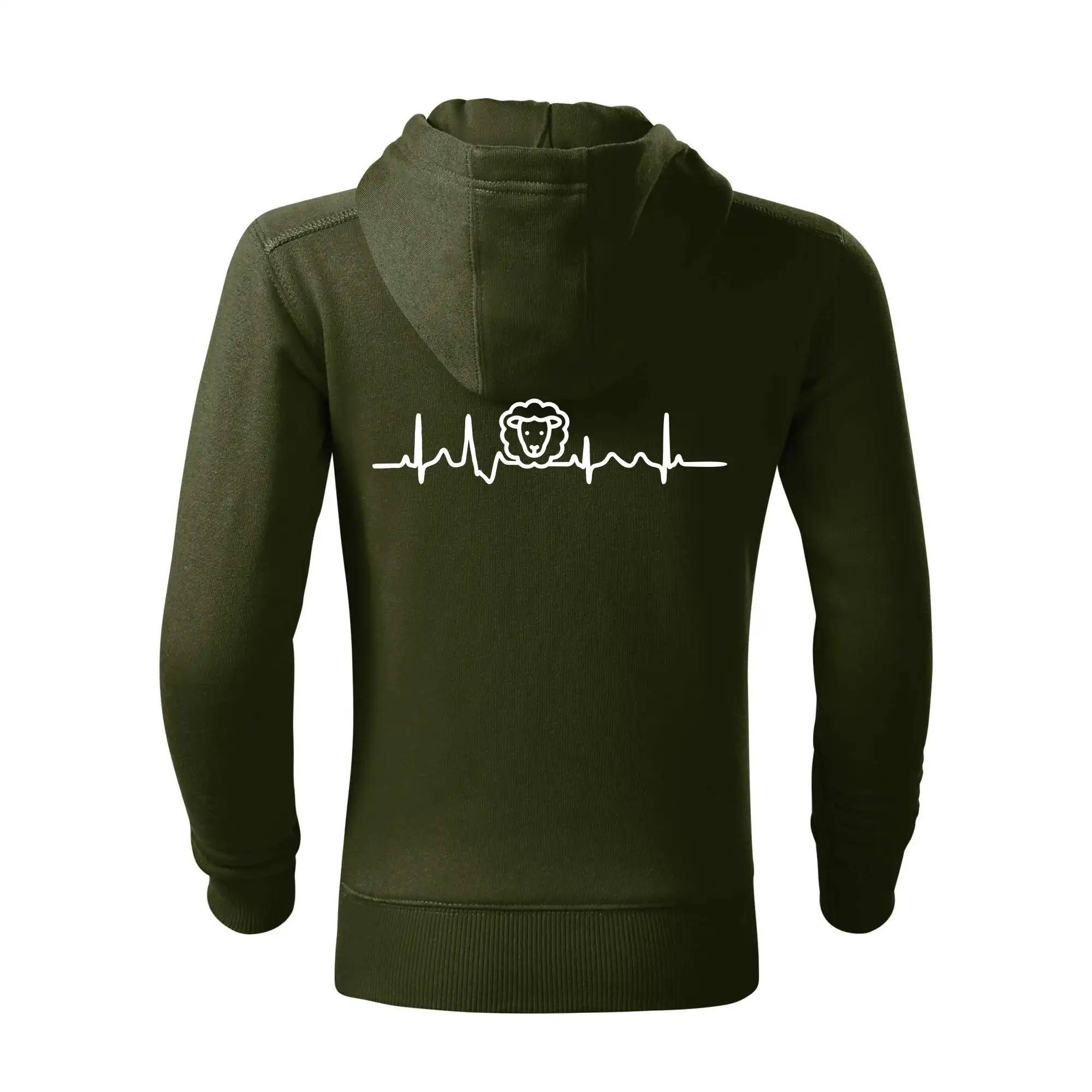 Ekg ovce