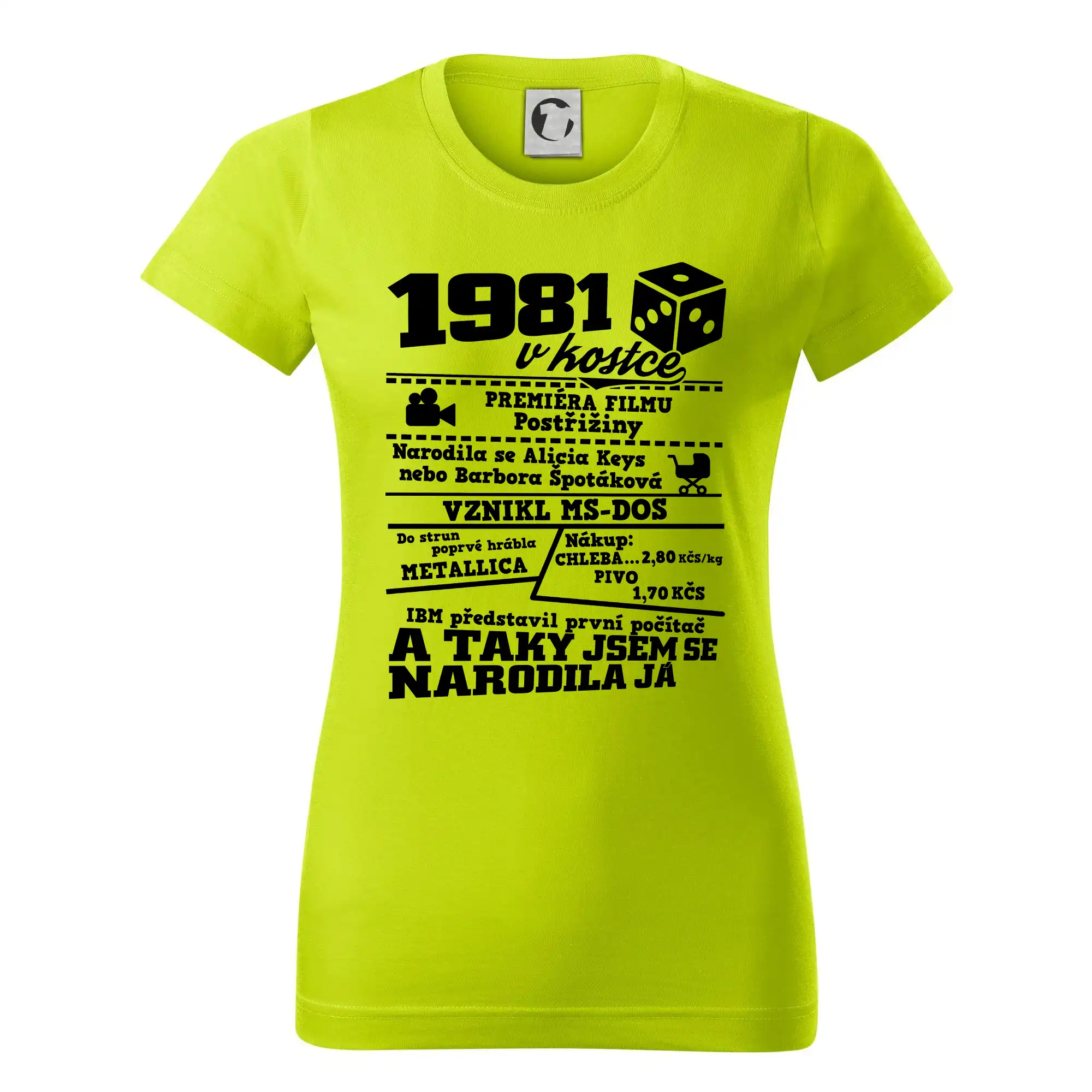 1981 v kostce