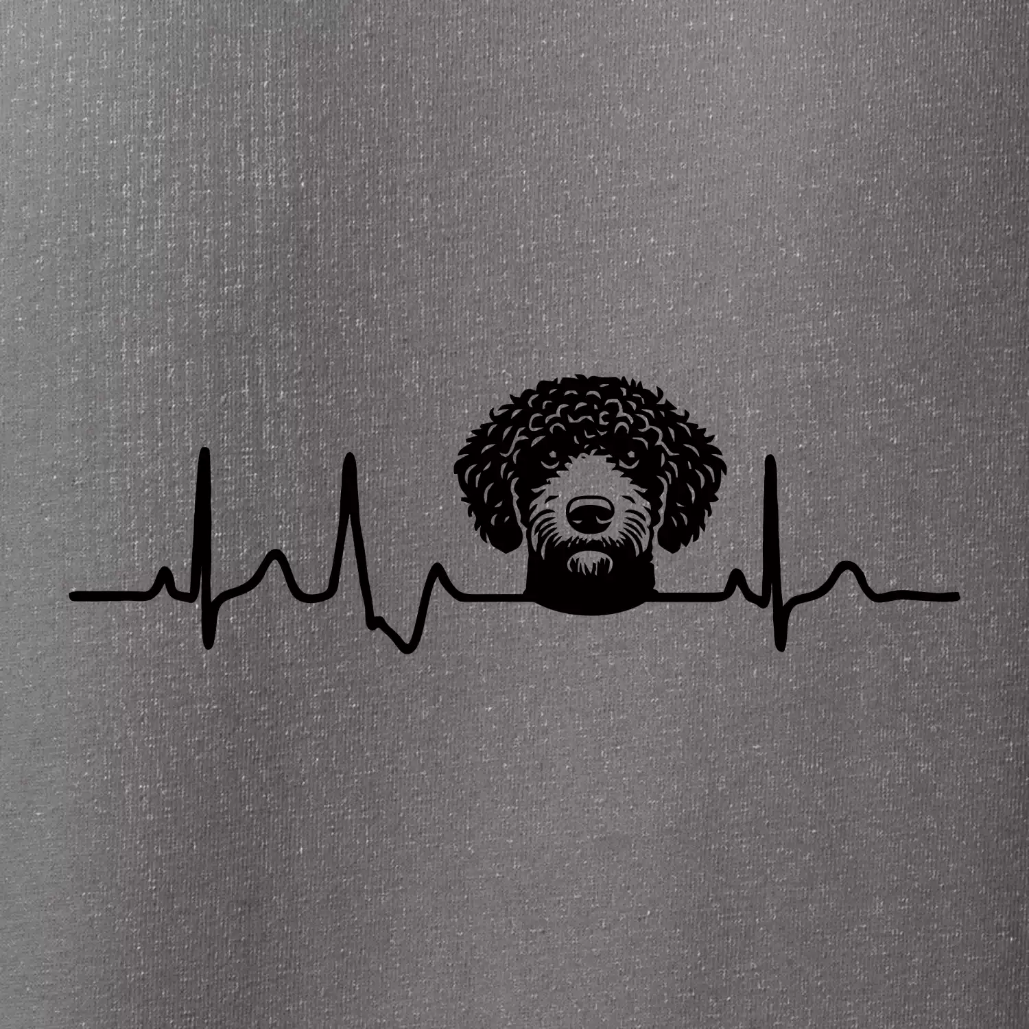 Lagotto romagnolo hlava EKG