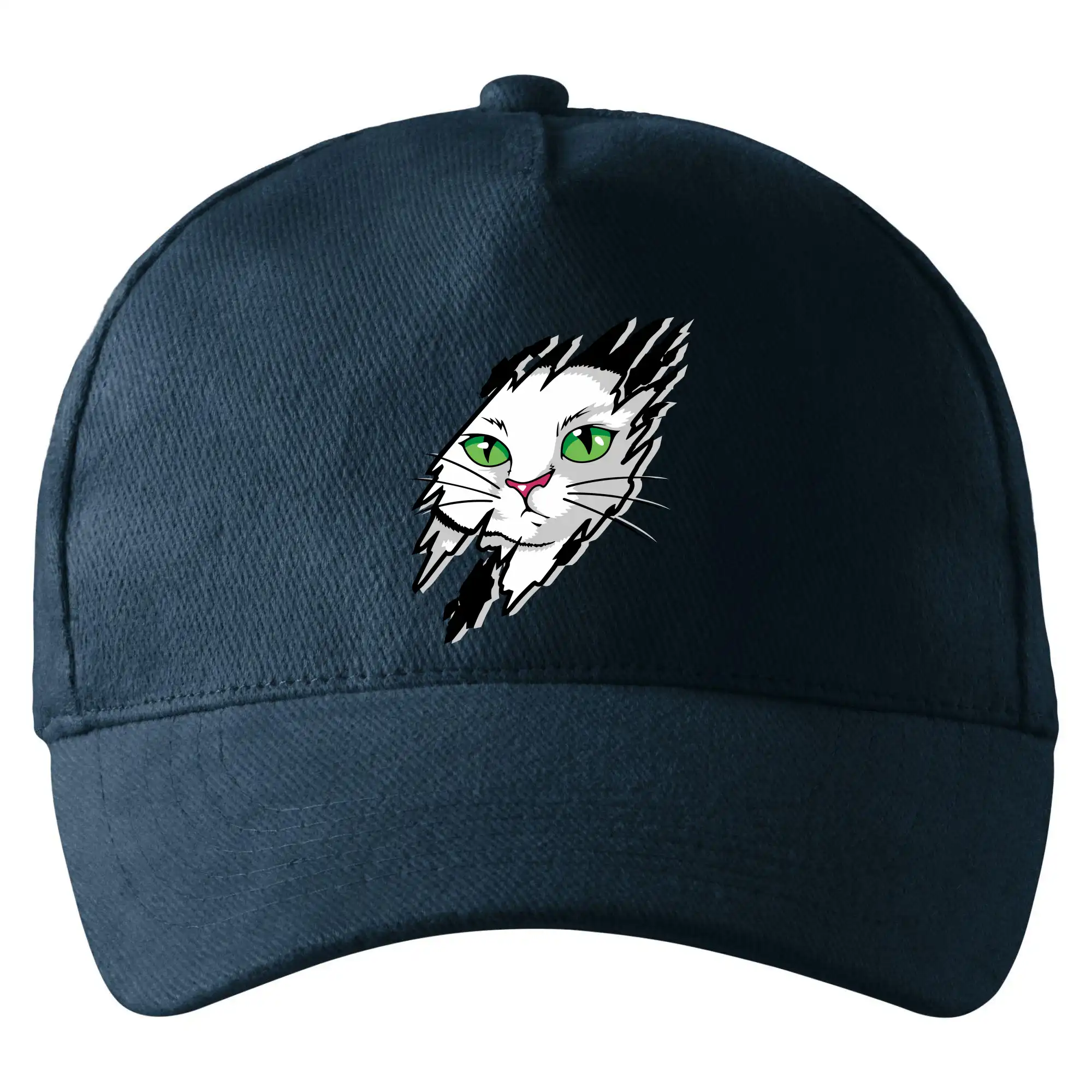 Kočka v roztrženém triku