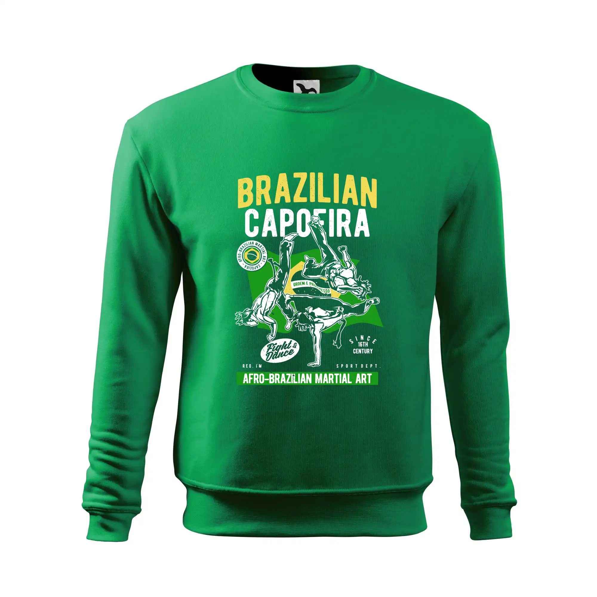 Brazilian Capoeira