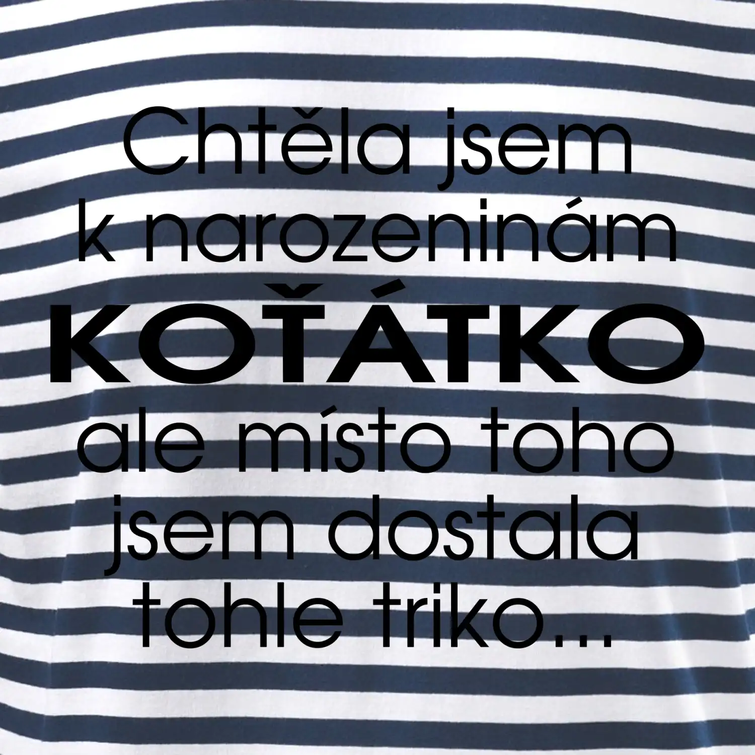 Chtěla jsem dostat k narozeninám koťátko
