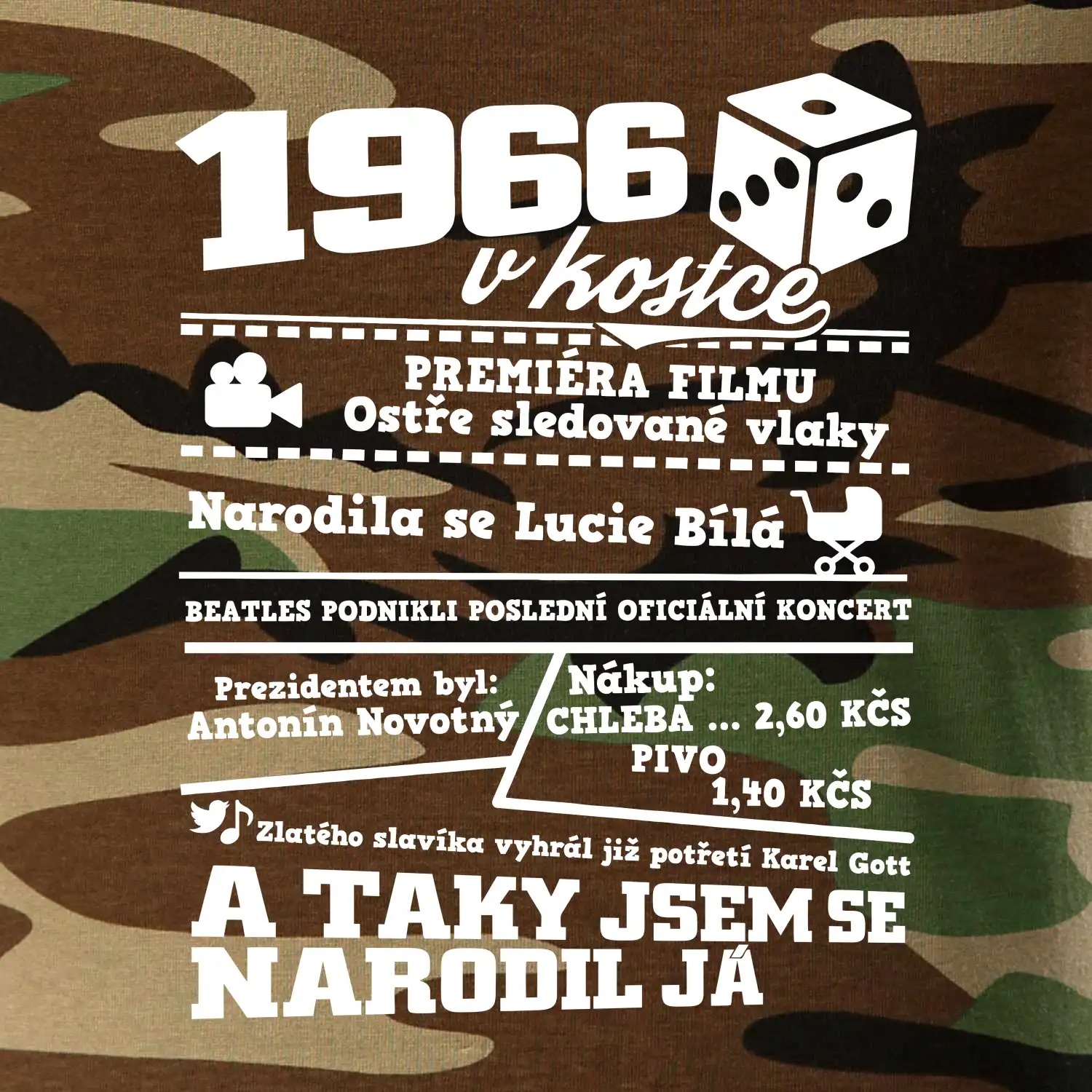 1966 v kostce