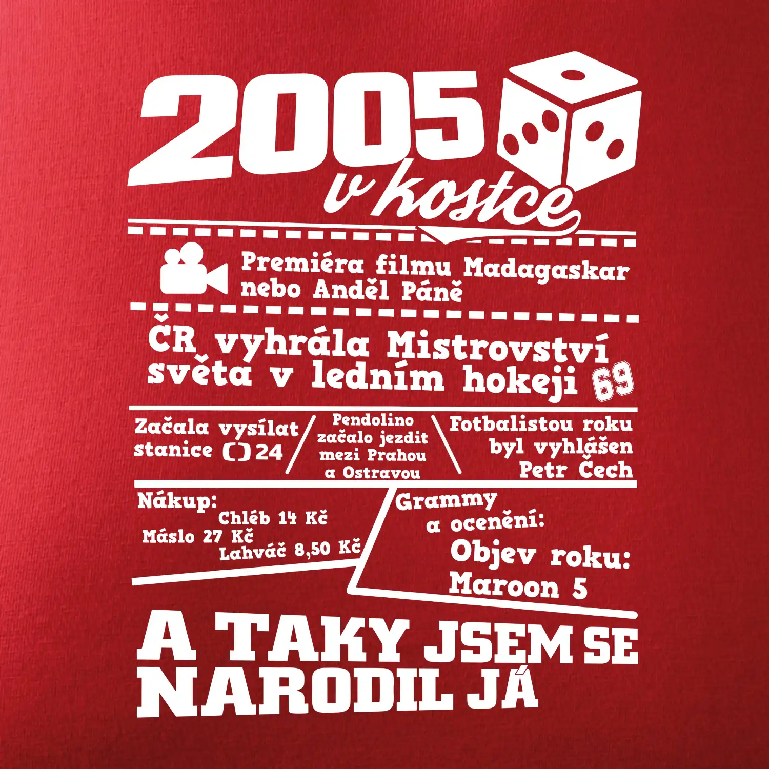 2005 v kostce