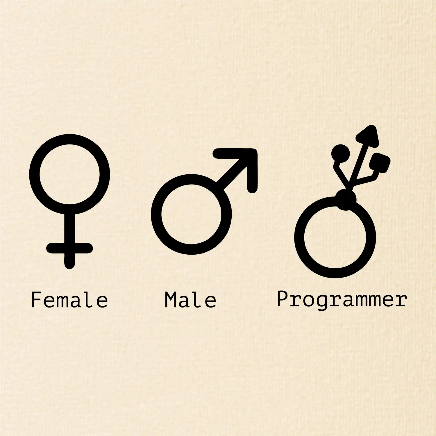 Female male programmer