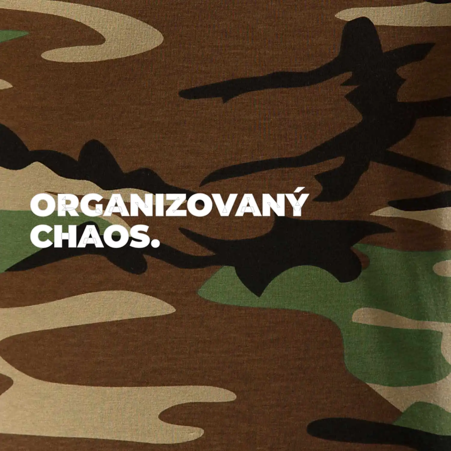 ORGANIZOVANÝ CHAOS.