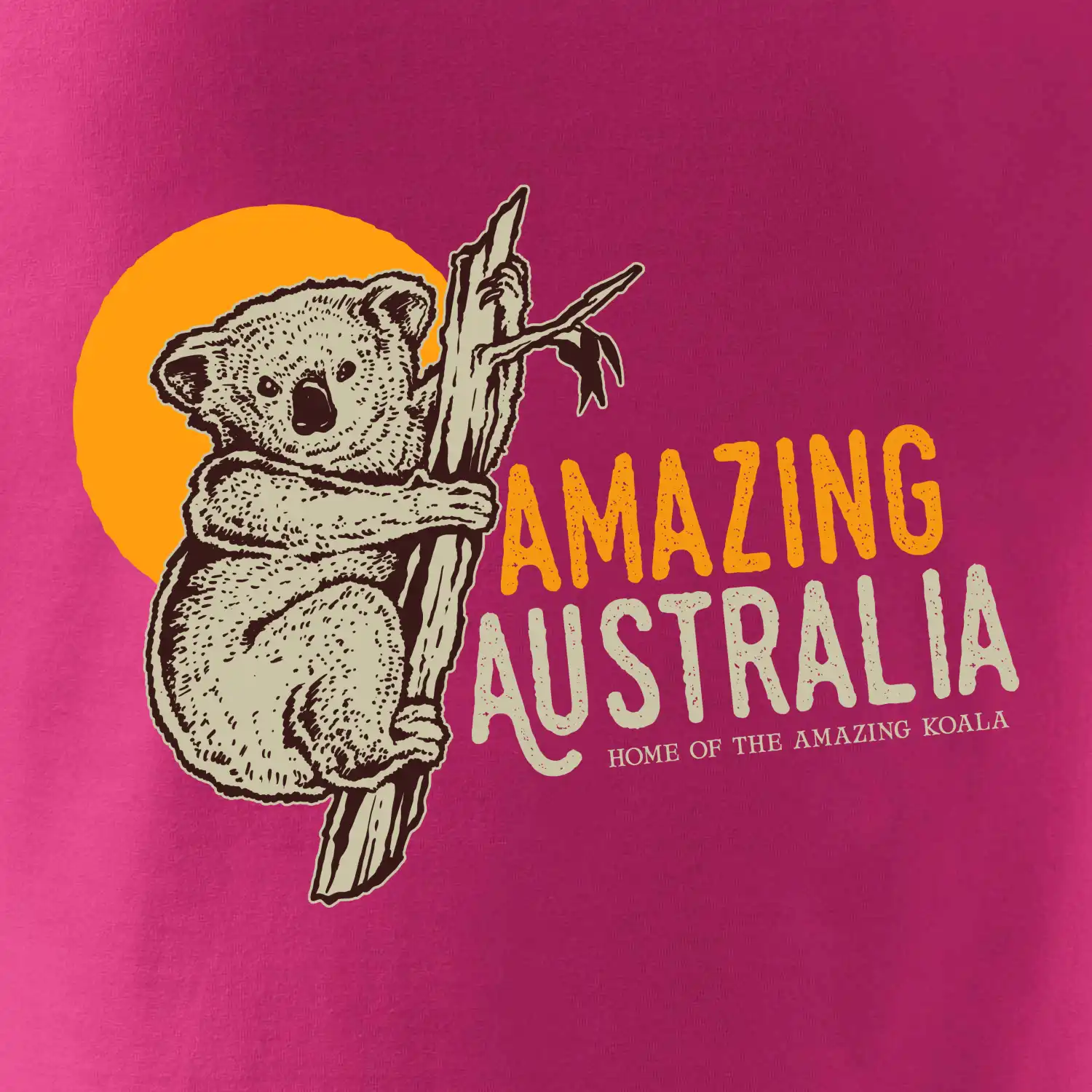 Amazing Australia koala