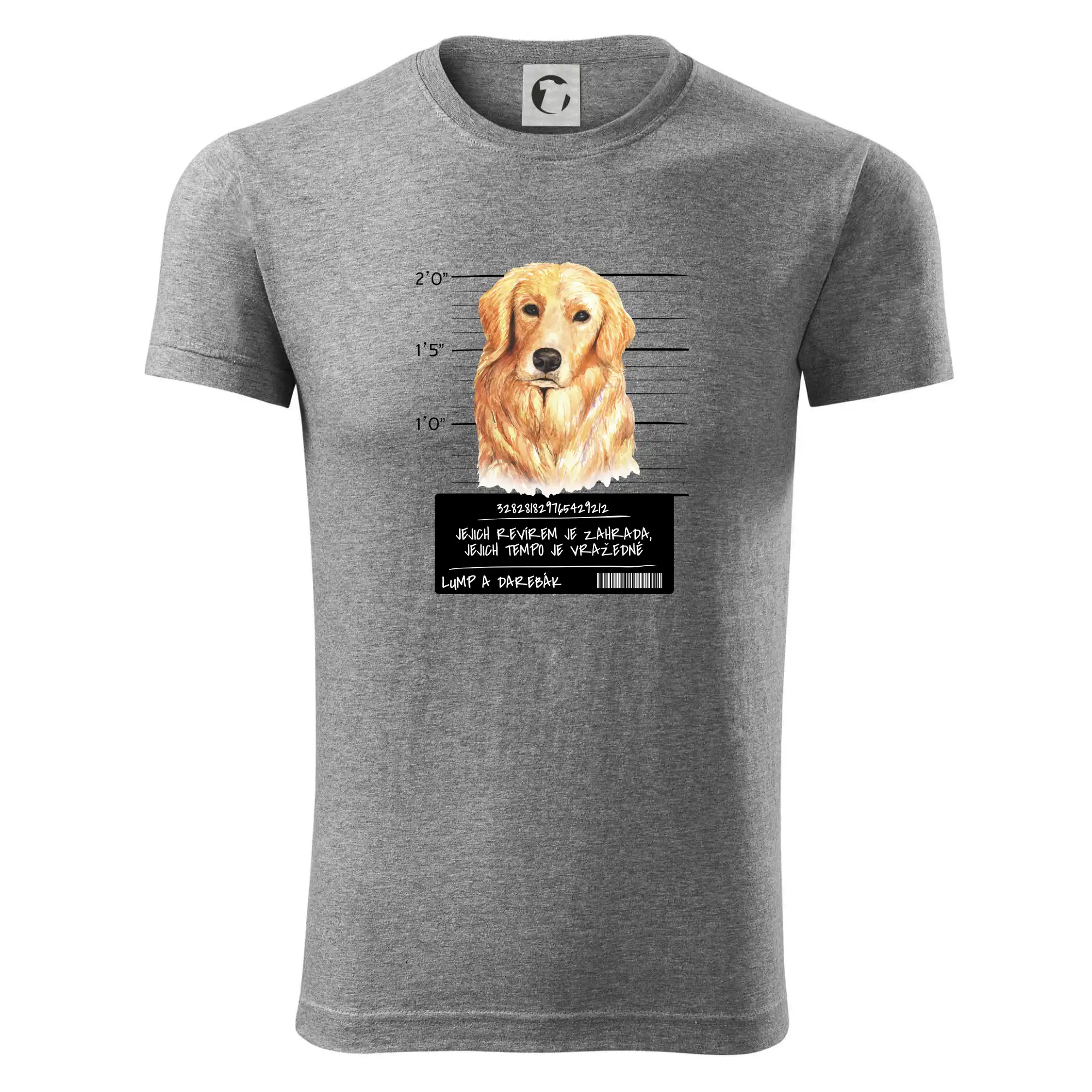 Lump a darebák zlatý retrívr