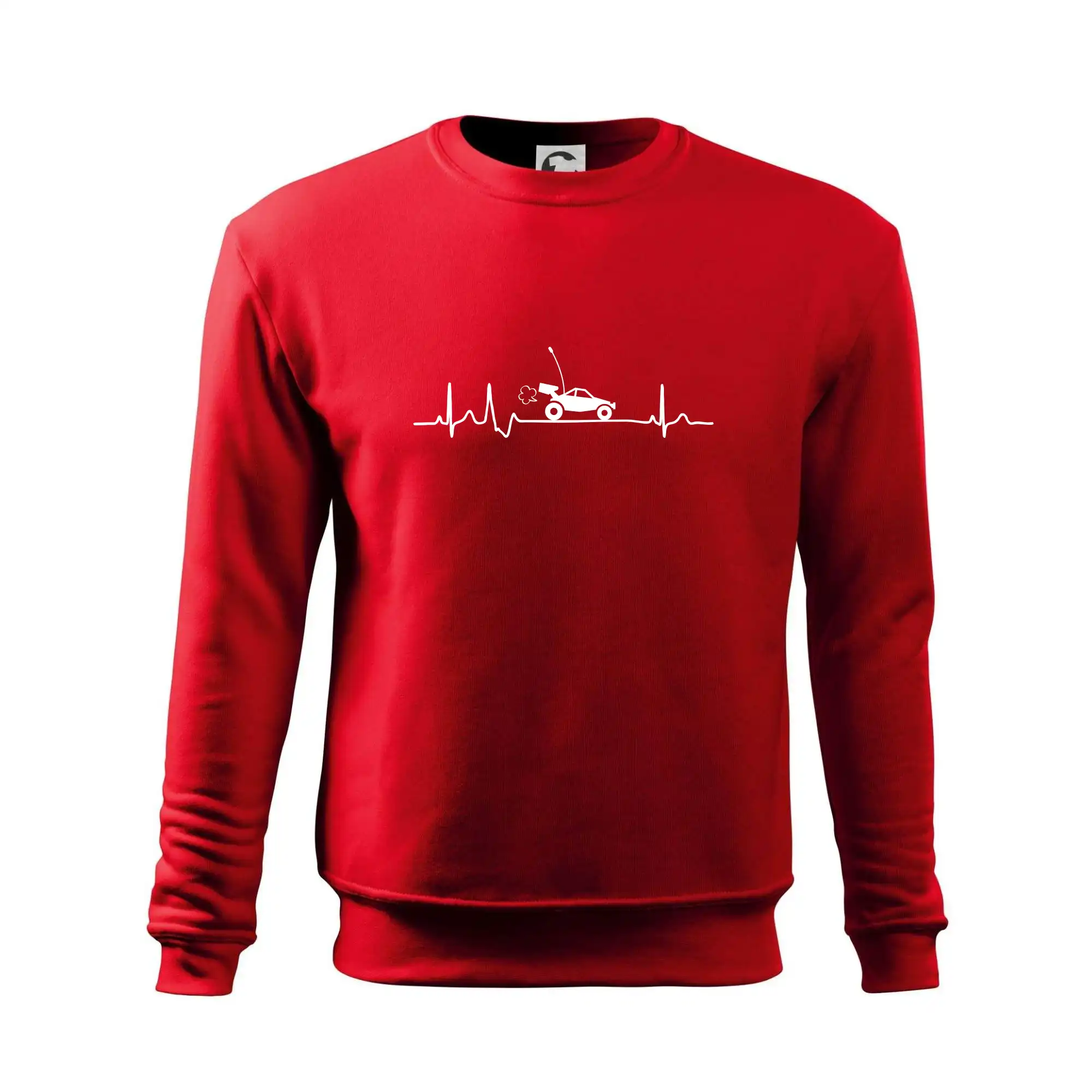 EKG RC model