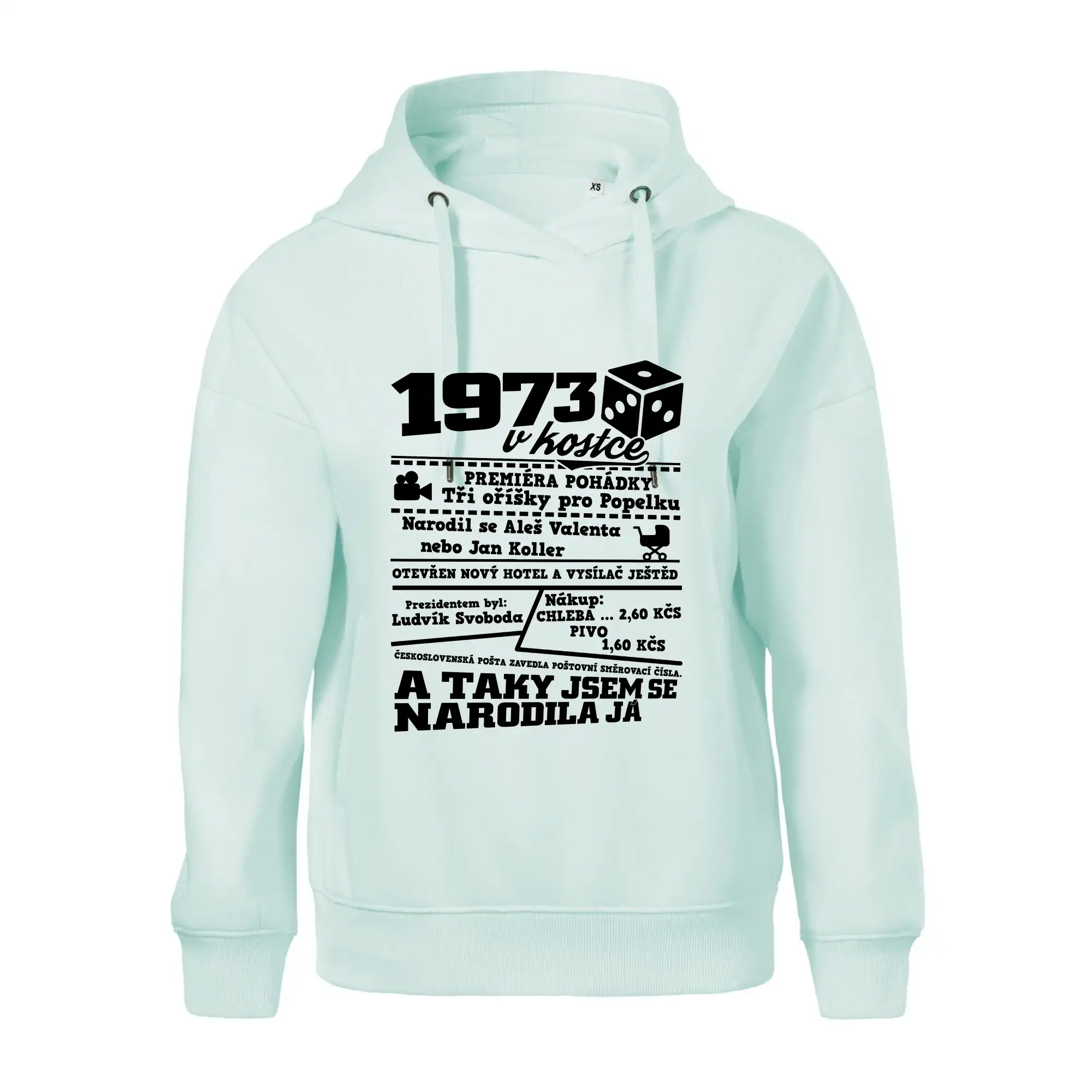 1973 v kostce