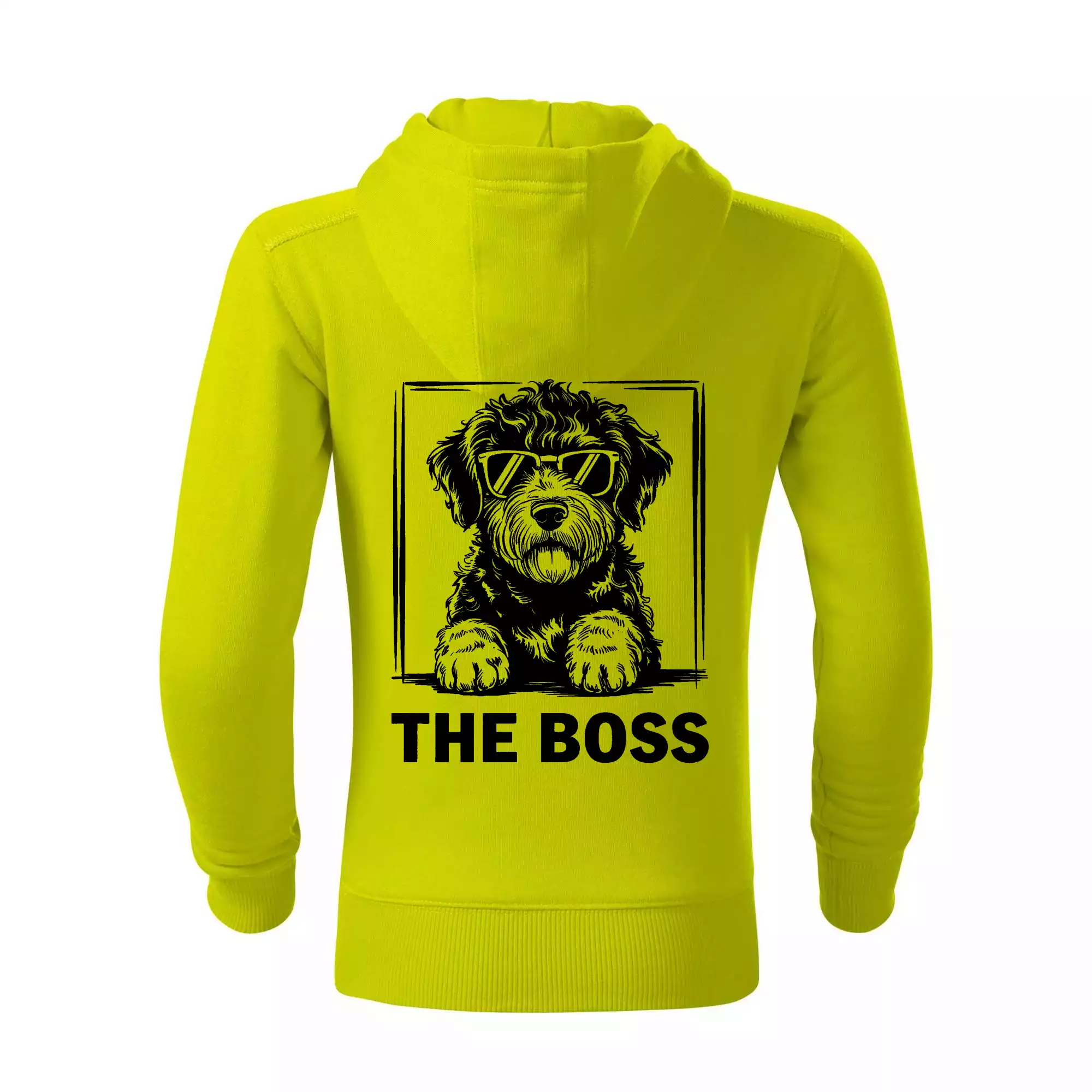 Lagotto romagnolo the boss