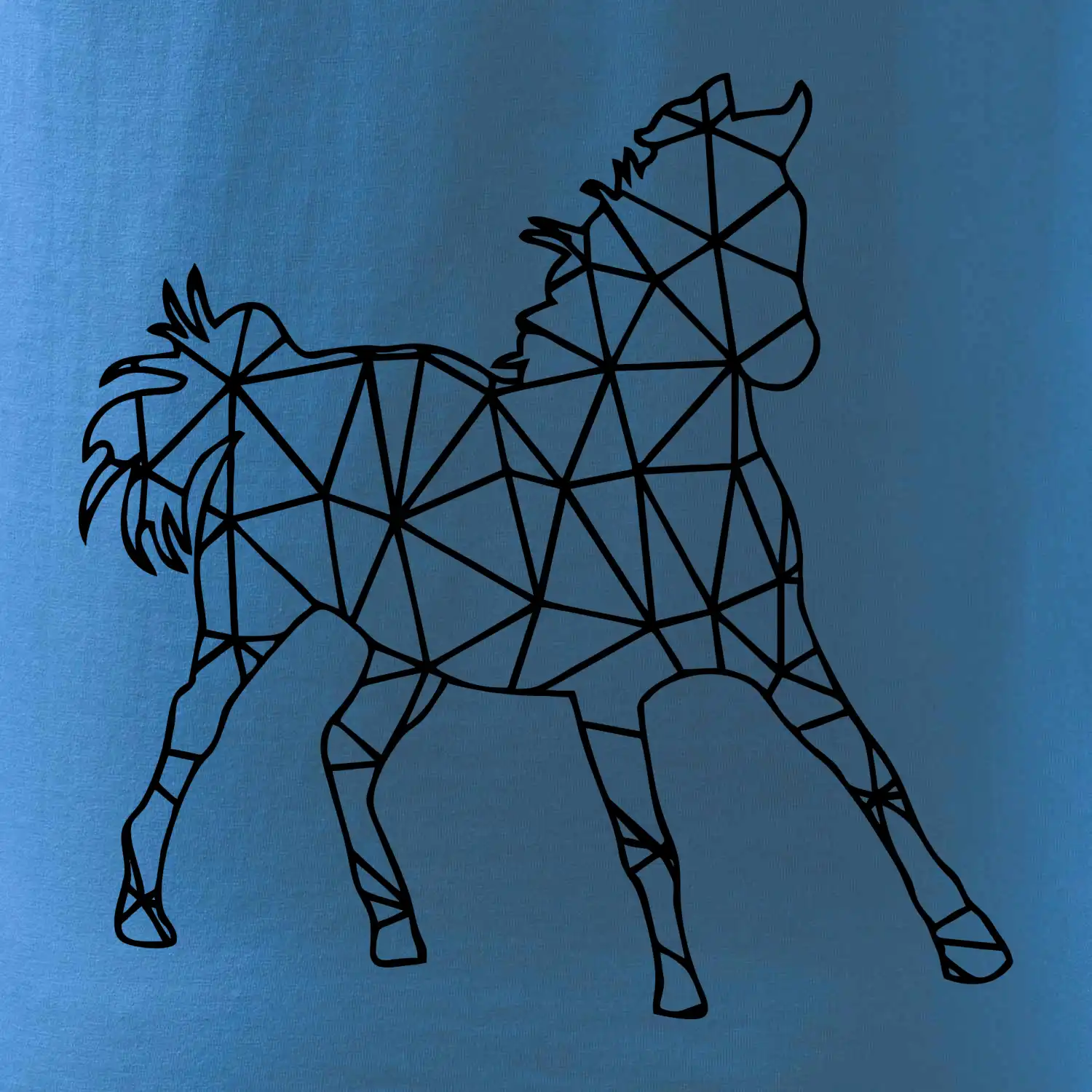 Geometrie - kůň jednobarevná