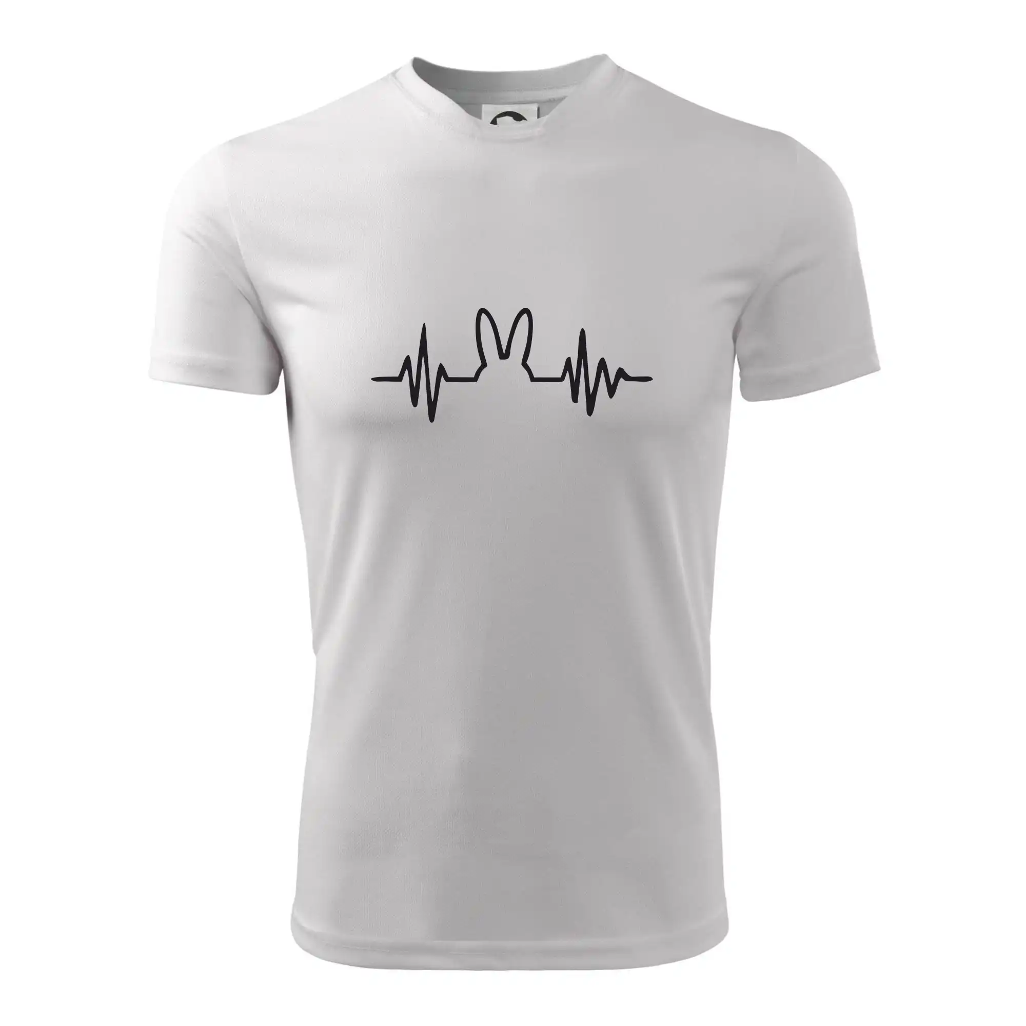 EKG zajíc
