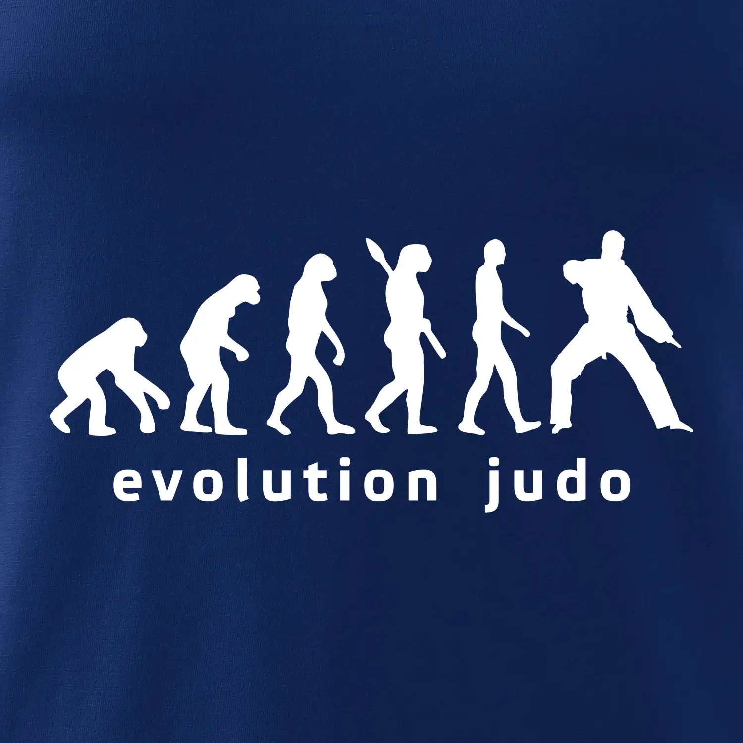Judo evoluce - úder
