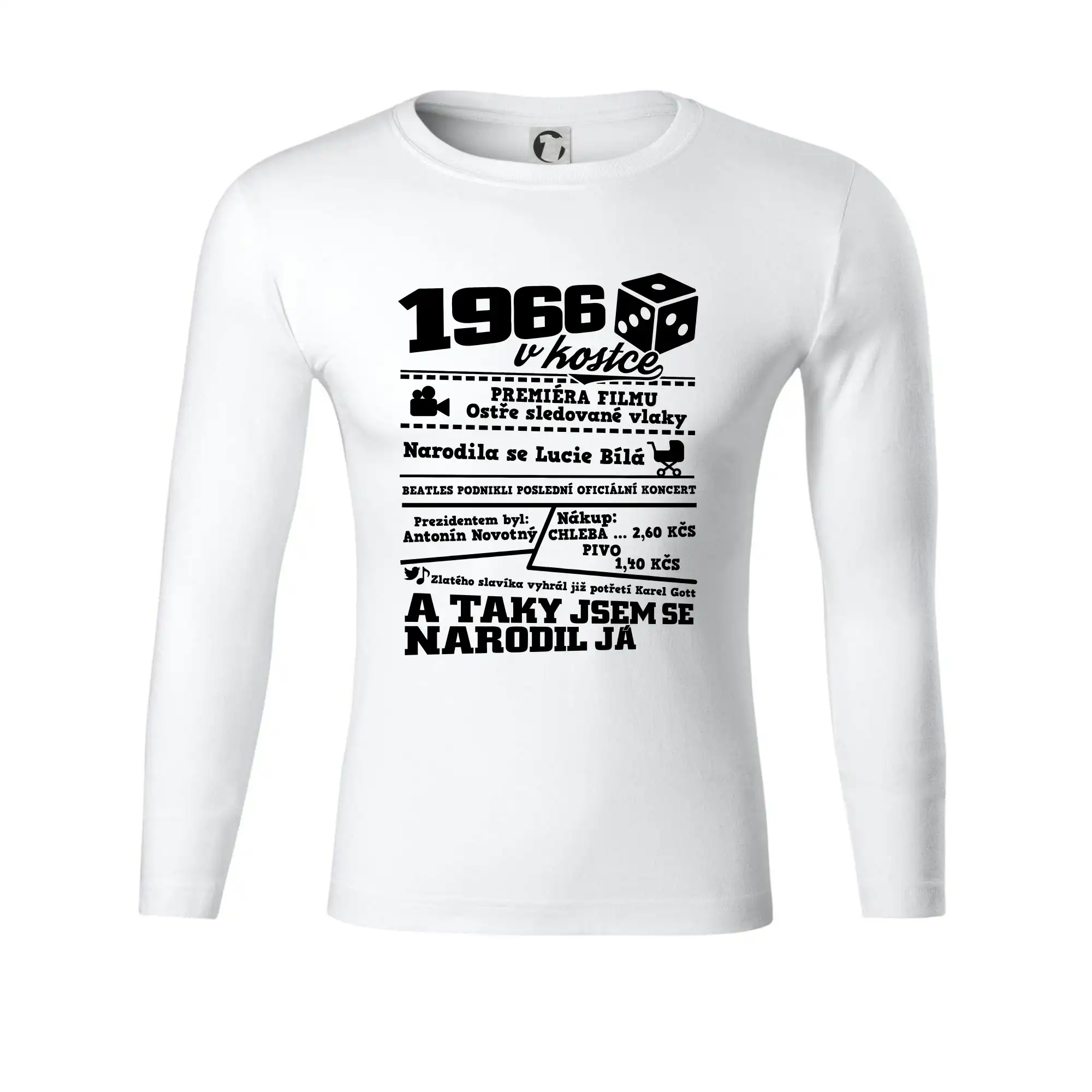 1966 v kostce