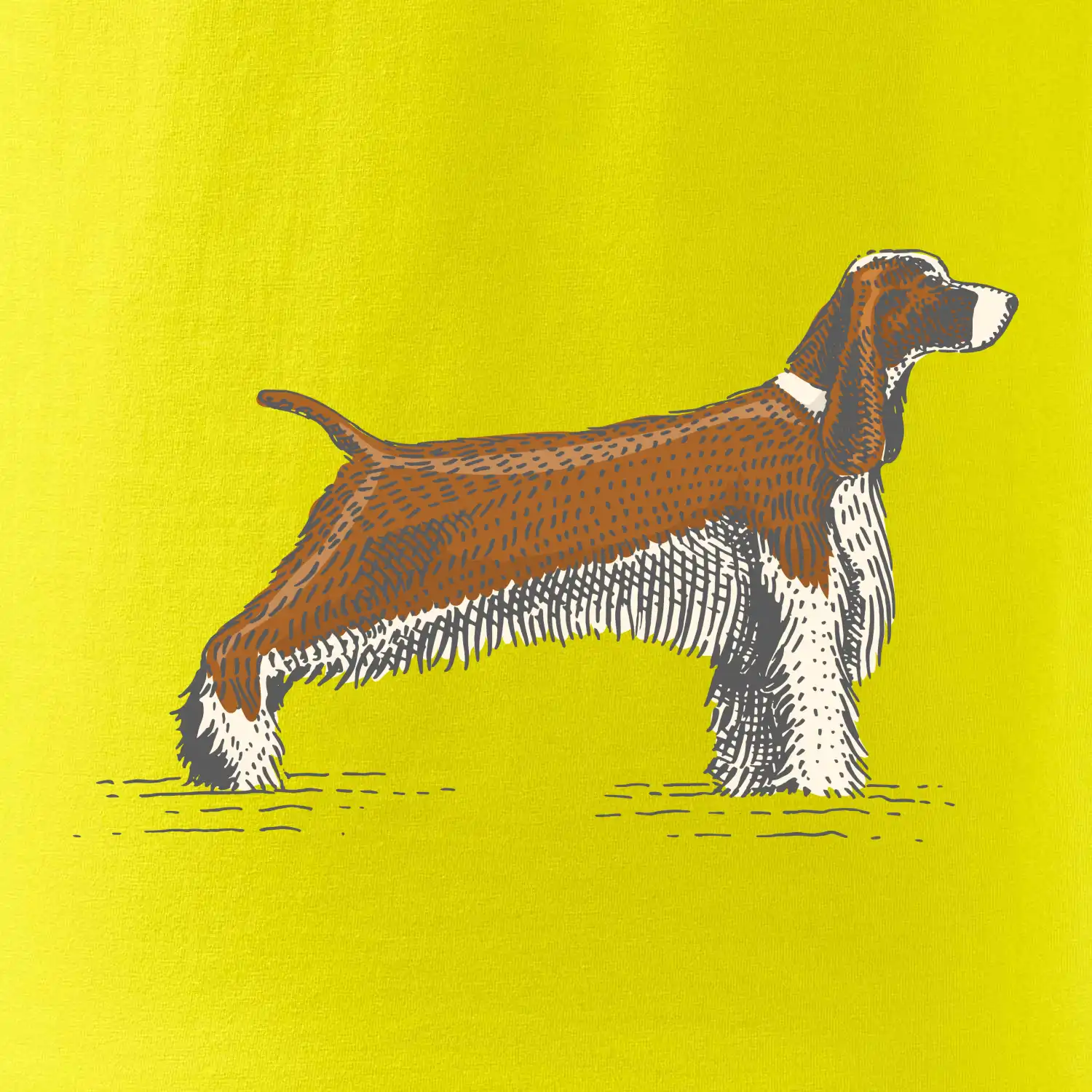 Vintage Springer spaniel