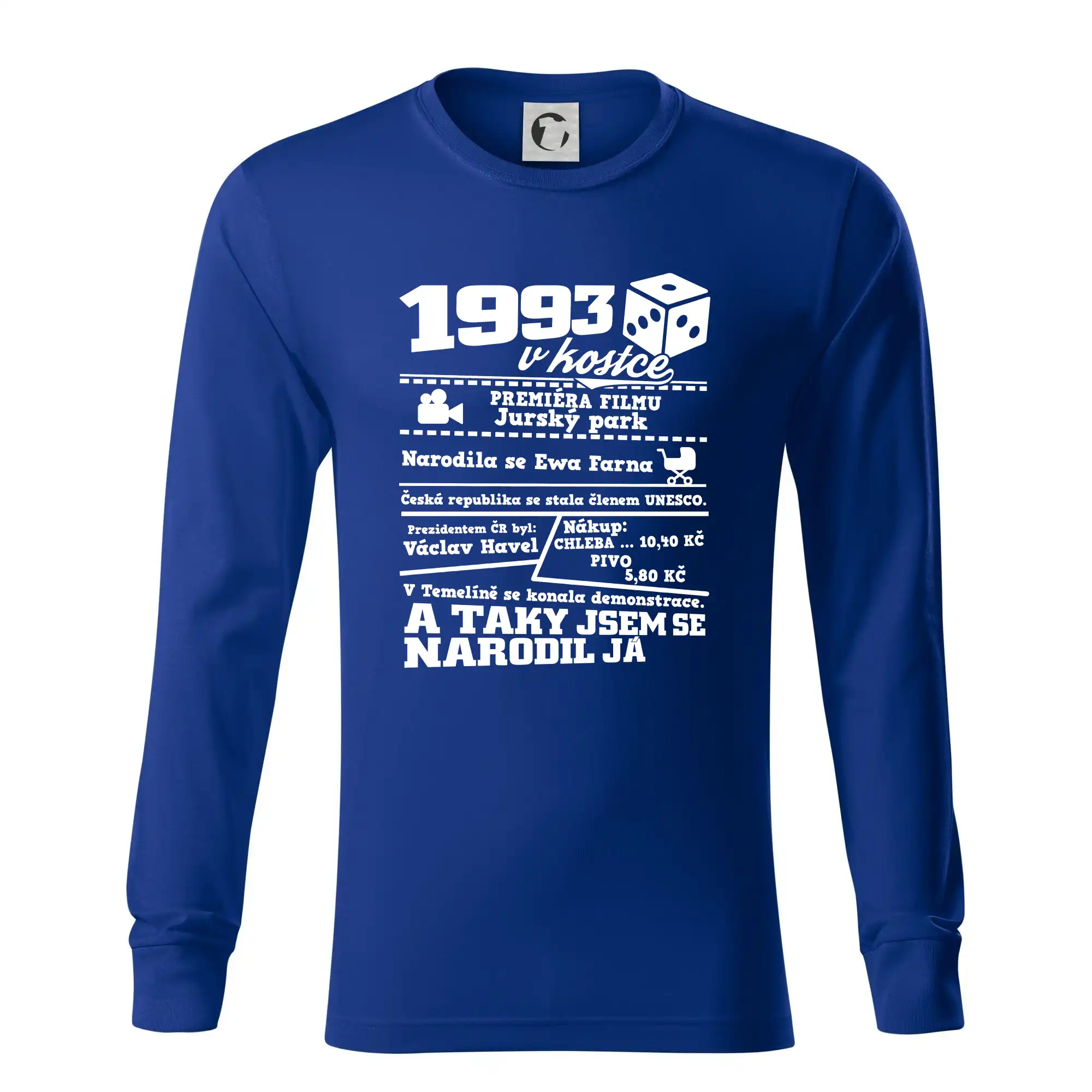 1993 v kostce